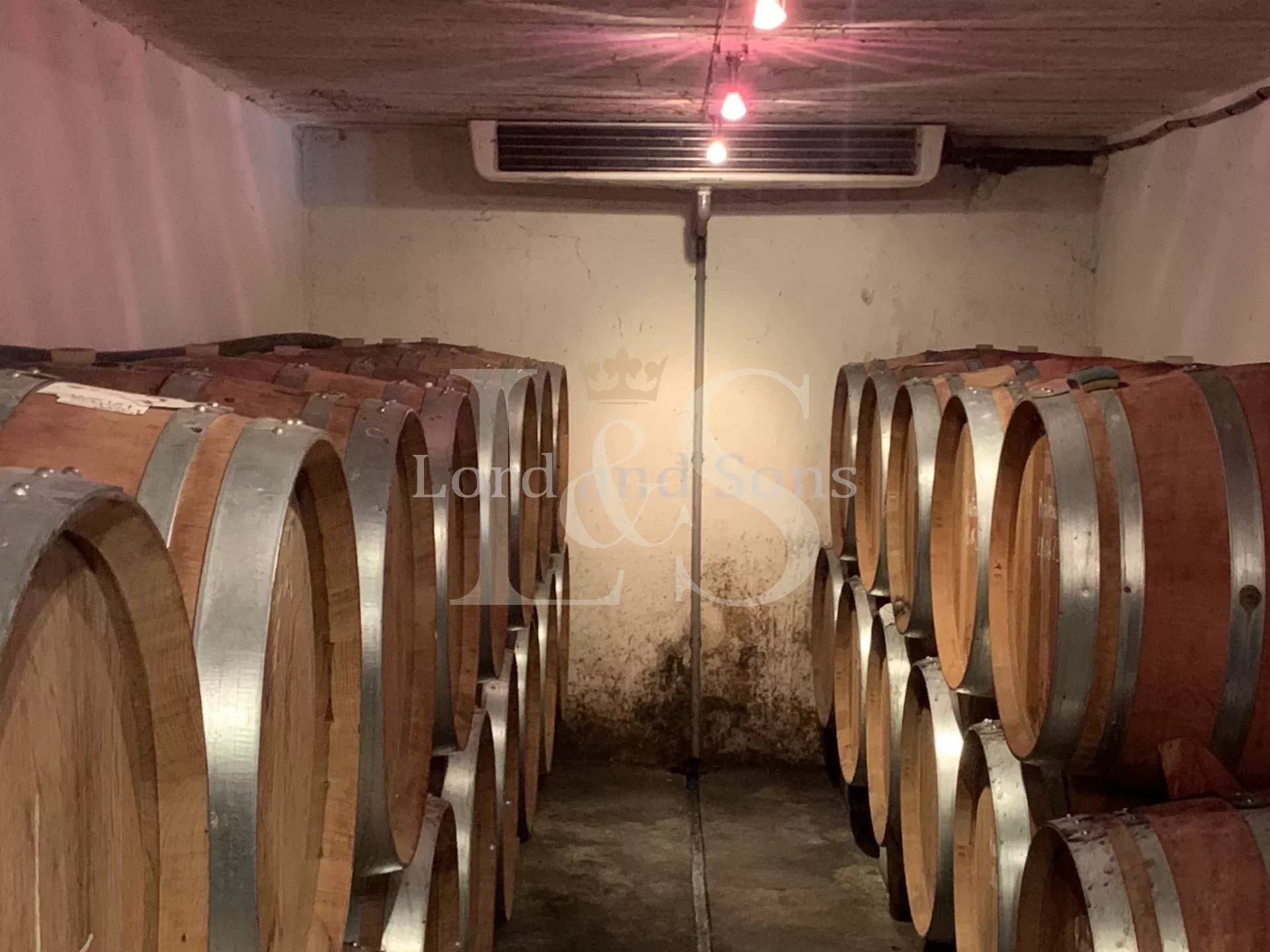 Turnkey Wine Estate in the Heart of the Southern Rhône Valley 4