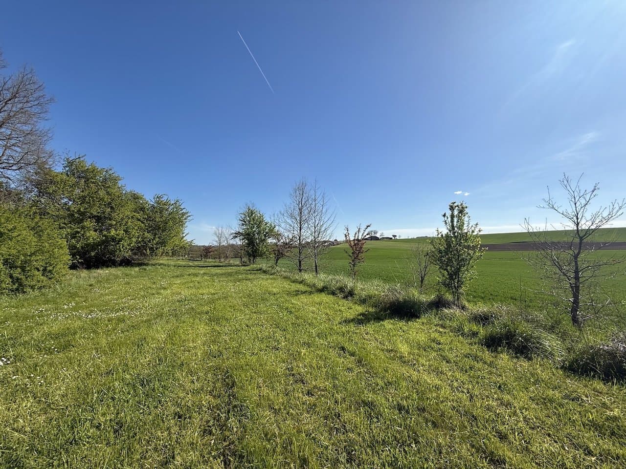 Castles for sale in Tarn-et-Garonne