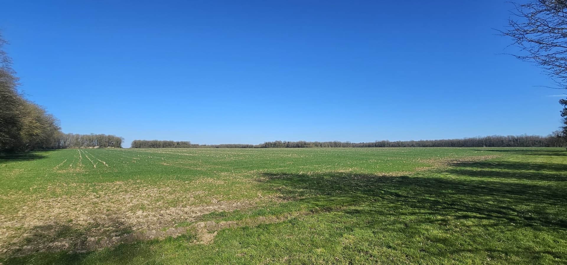 Historic 16th Century Manor With Expansive Hunting Grounds Near Tours 5