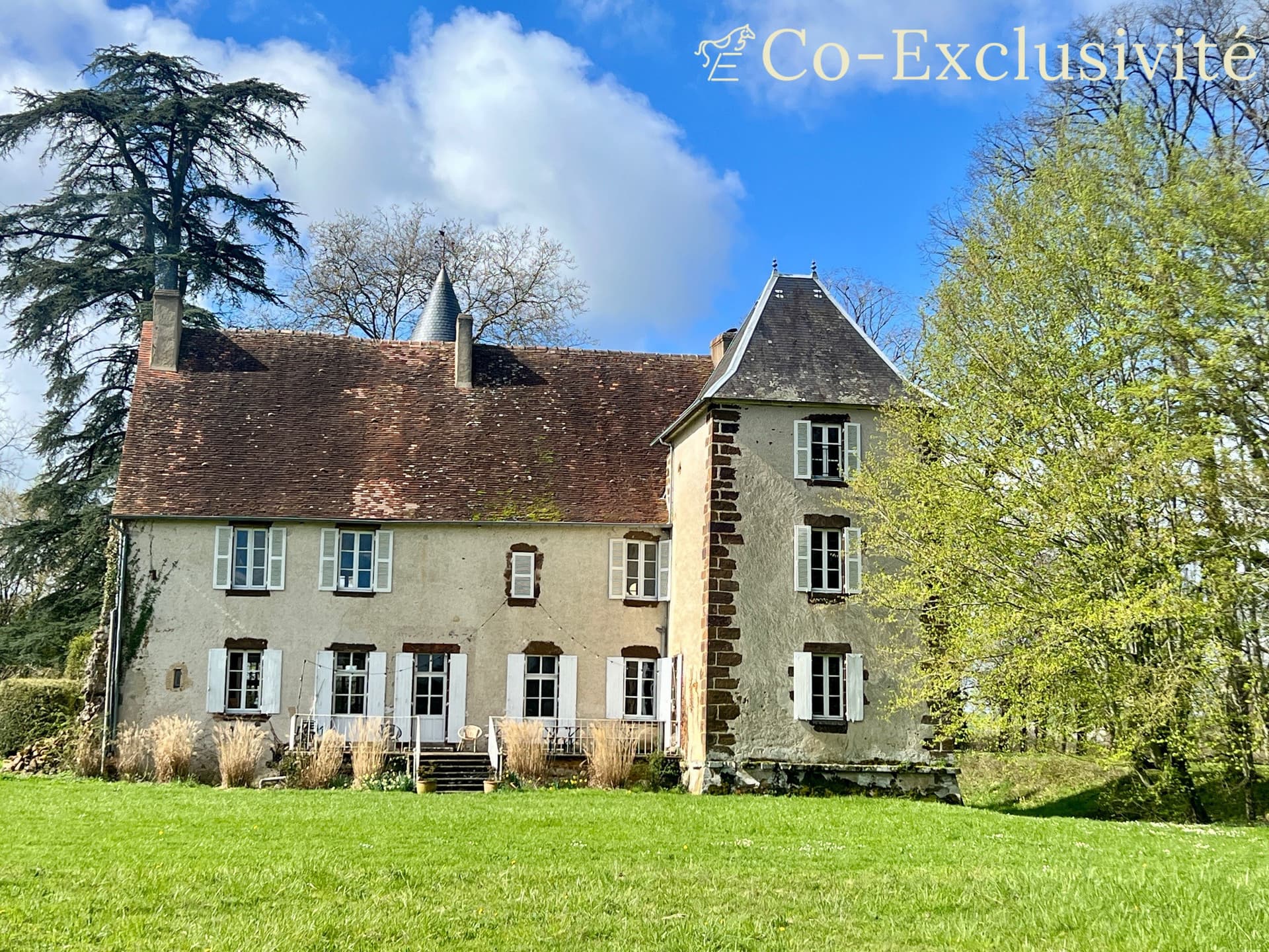 Historic Castle with 600 Sqm and 5 Bedrooms — in Indre, Loire Valley