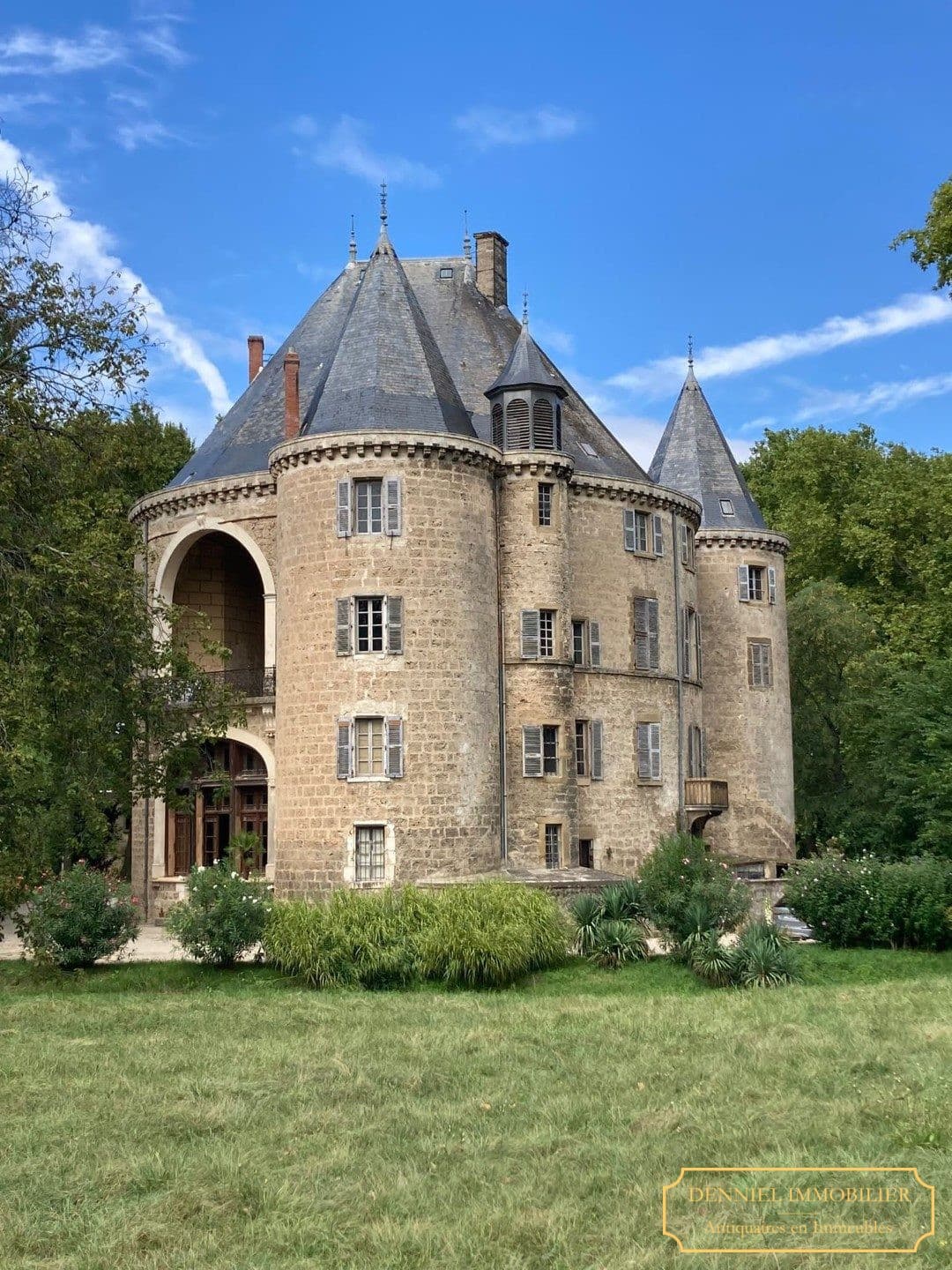 Magnificent Château with Extensive Grounds and Historical Significance — Château for sale in Drôme, France