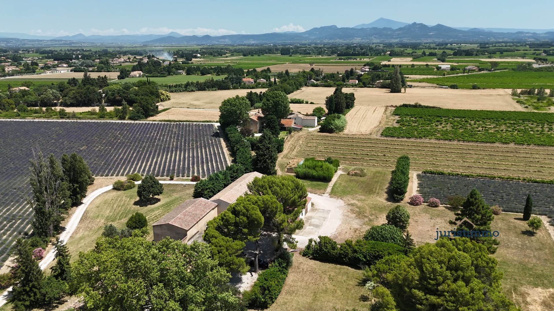 Elegant 19th Century Family Home With Winery And Vineyard 4