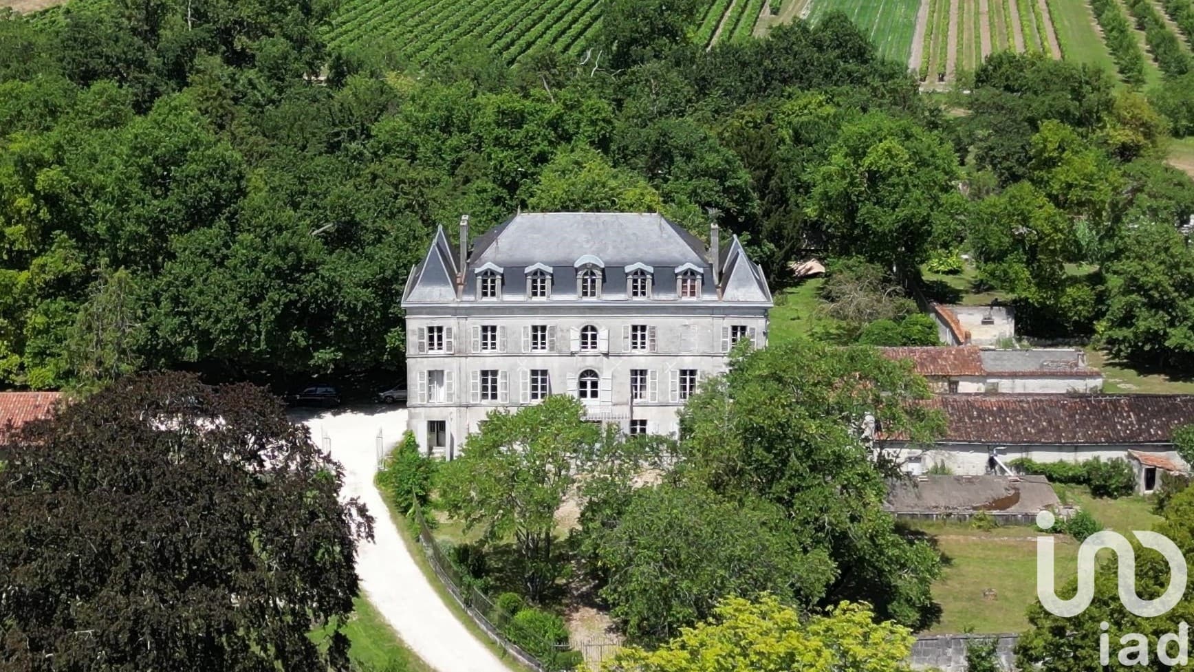 Charming 1850 Castle With 15 Bedrooms — in Nouvelle-Aquitaine, France