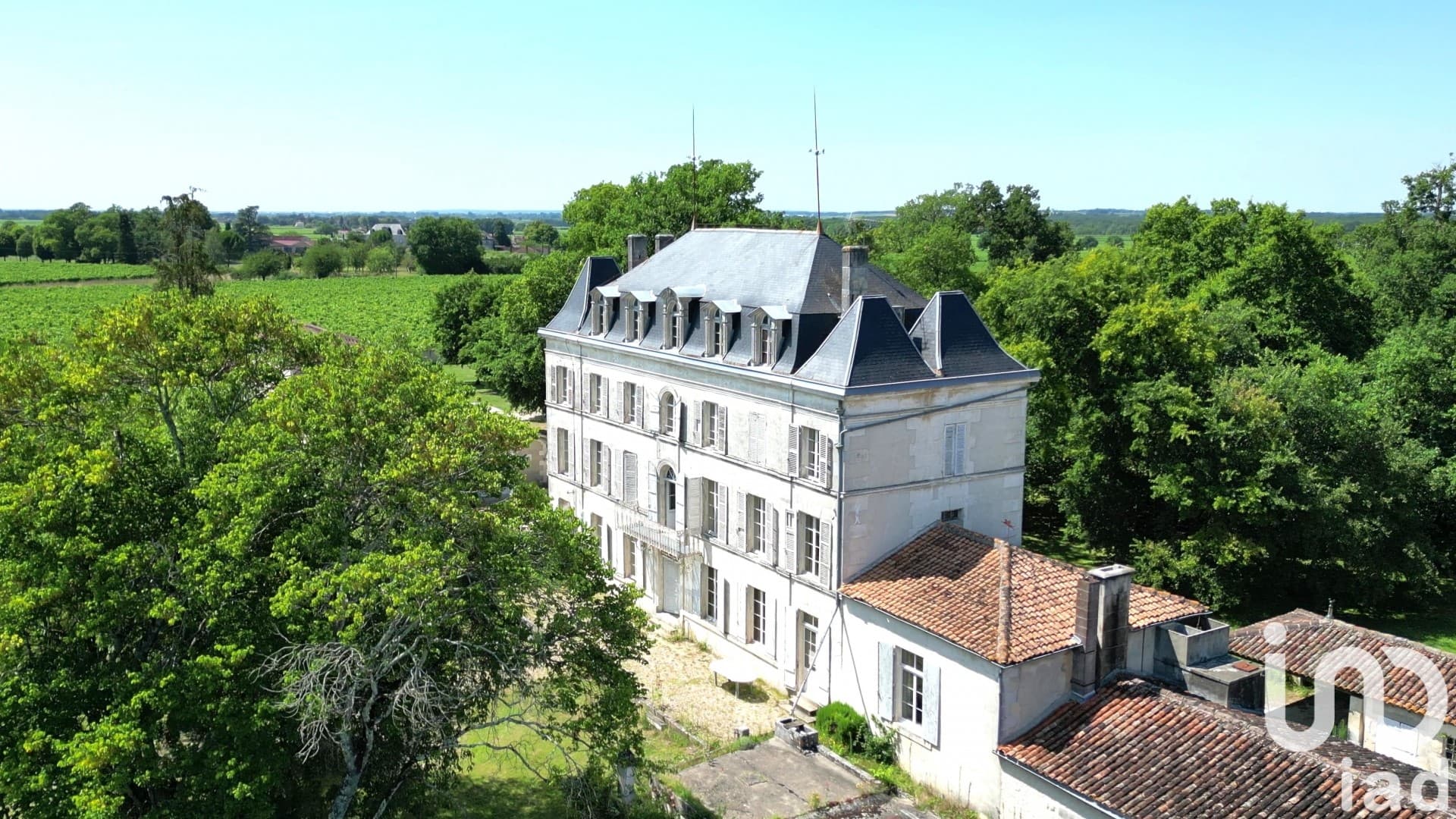 Charming 1850 Castle With 15 Bedrooms 4