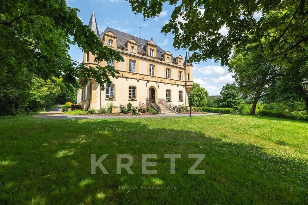 19th Century Château With Hotel Complex Near Lascaux — Château for sale in Nouvelle-Aquitaine, France