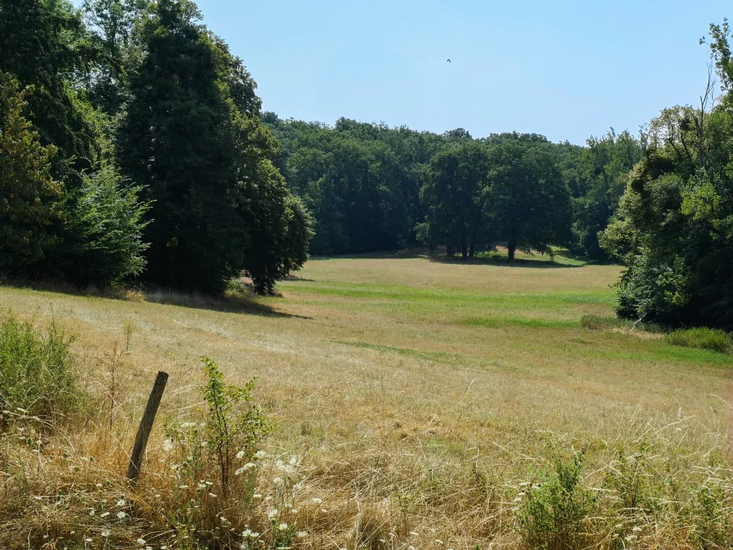 Remarkably Restored 18th Century Château With Abbey Church And Expansive Park 4