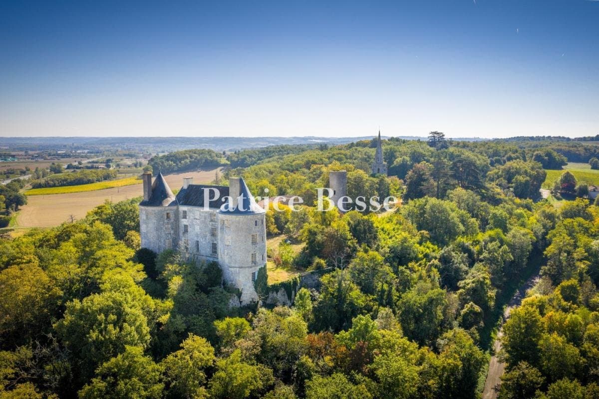 13th Century Château With Historical Significance And Restoration Potential 2