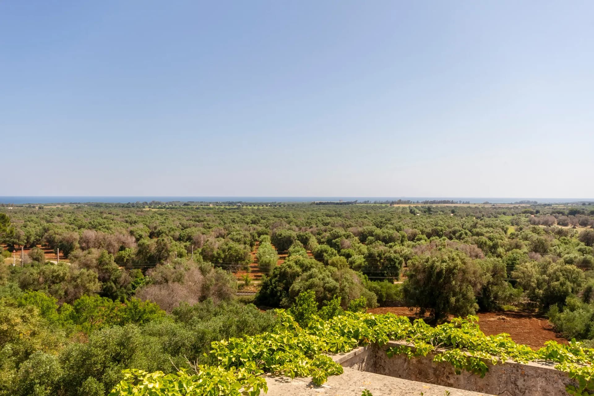 Historic Masseria With 17th-Century Church And 14th-Century Saracen Tower 2