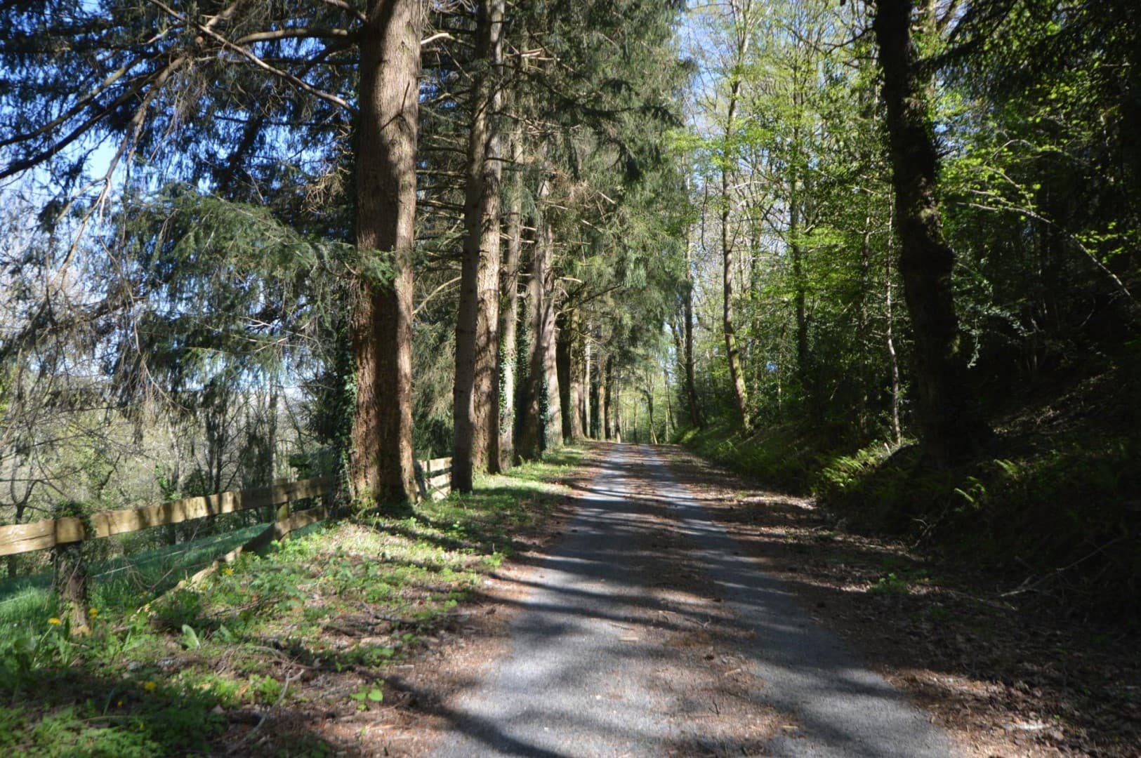 Elegant 17th Century Castle With 55 Hectares Of Parkland