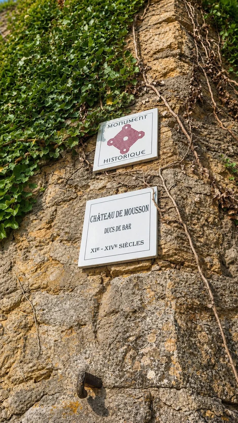 Historic Mousson Château With Barn And Exceptional Views 5