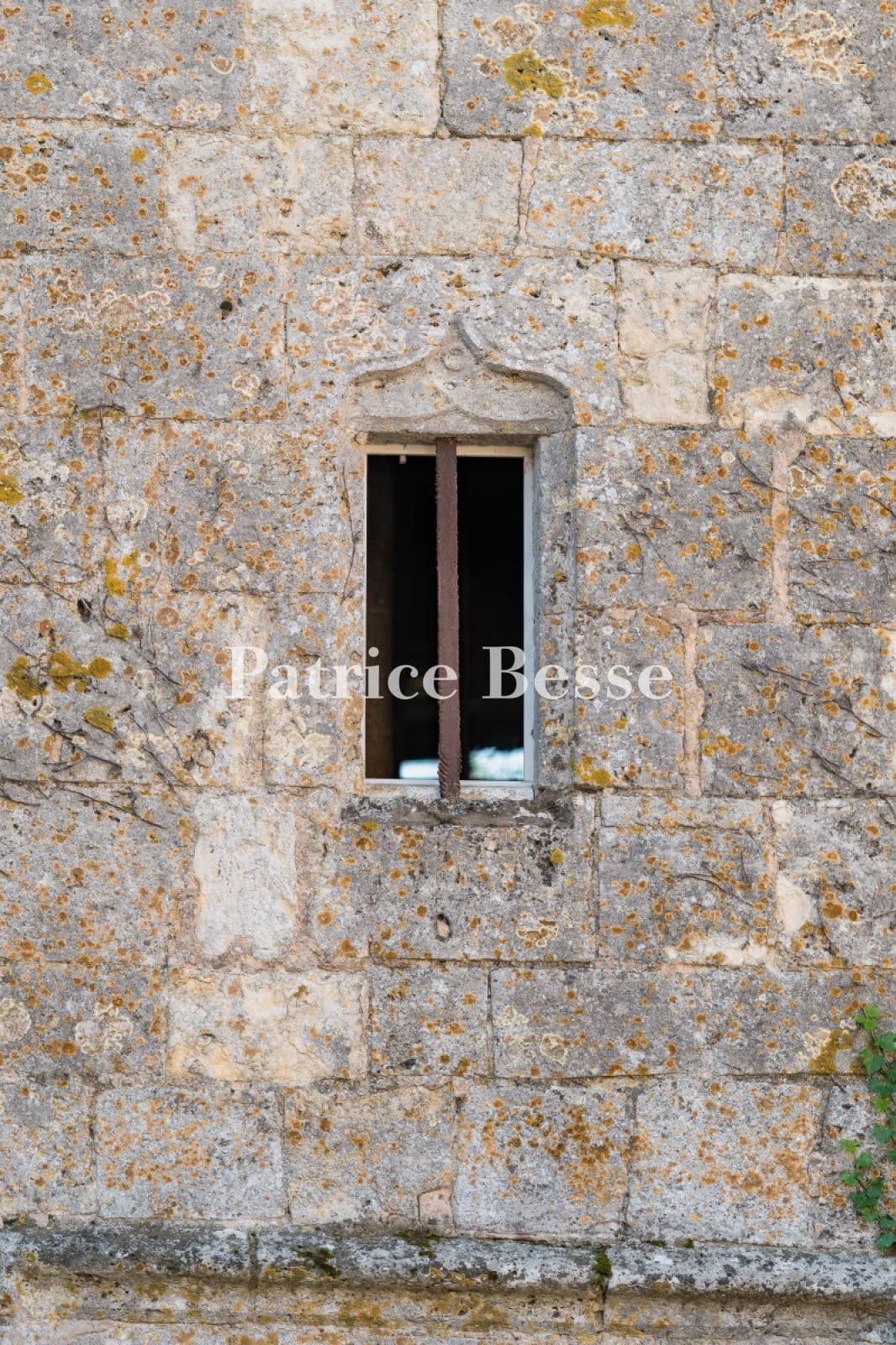 Historic 12th Century Château with Garden and Watchtower 2