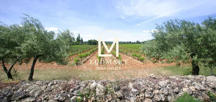 Charming Wine Estate With 7 Bedrooms And Côtes De Provence Vineyards 3