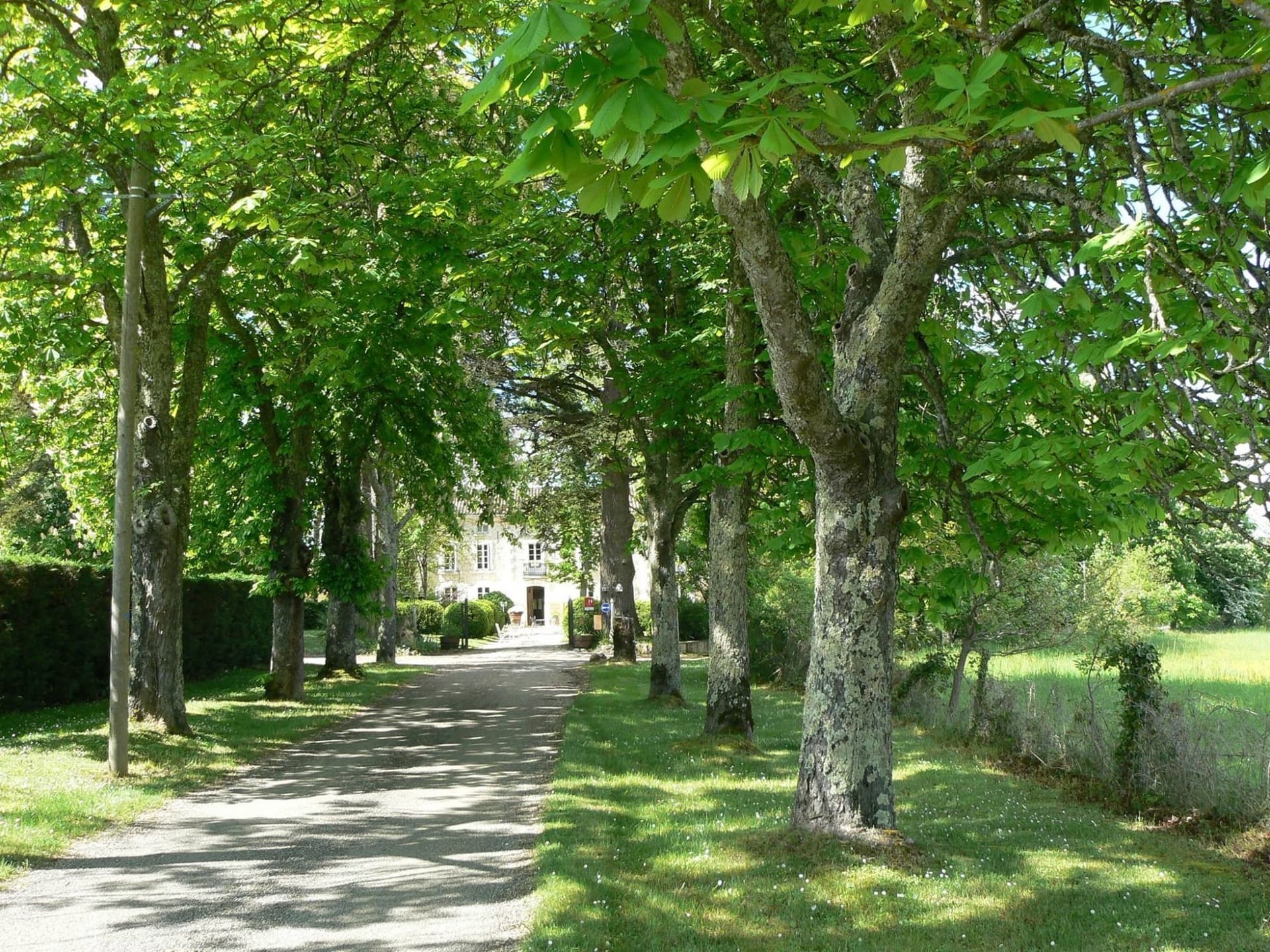 Prestigious Château-Hotel With 1800 Sqm Living Space And Swimming Pool 5