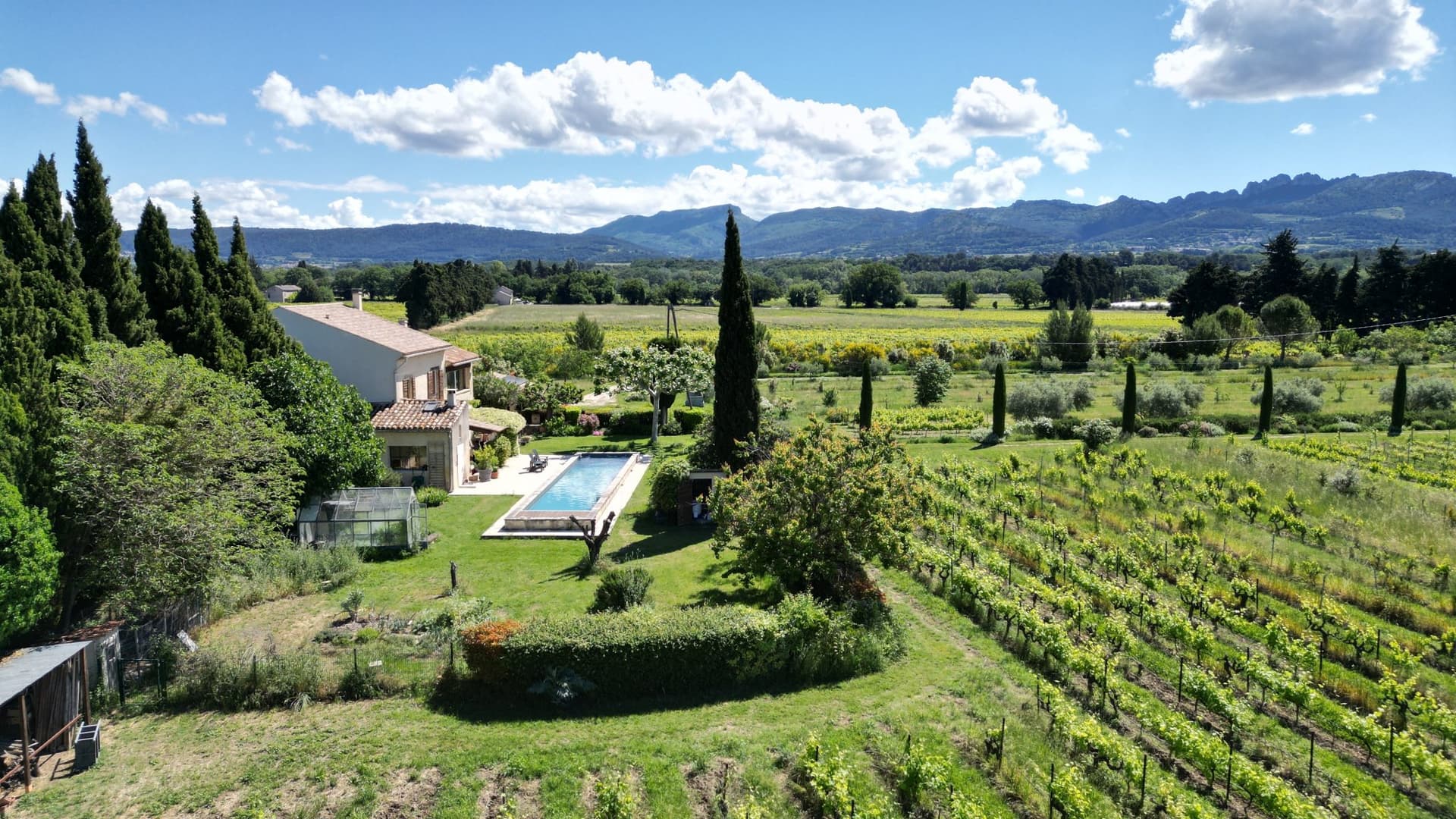 Charming Farmhouse With Vineyards And Olive Trees 3