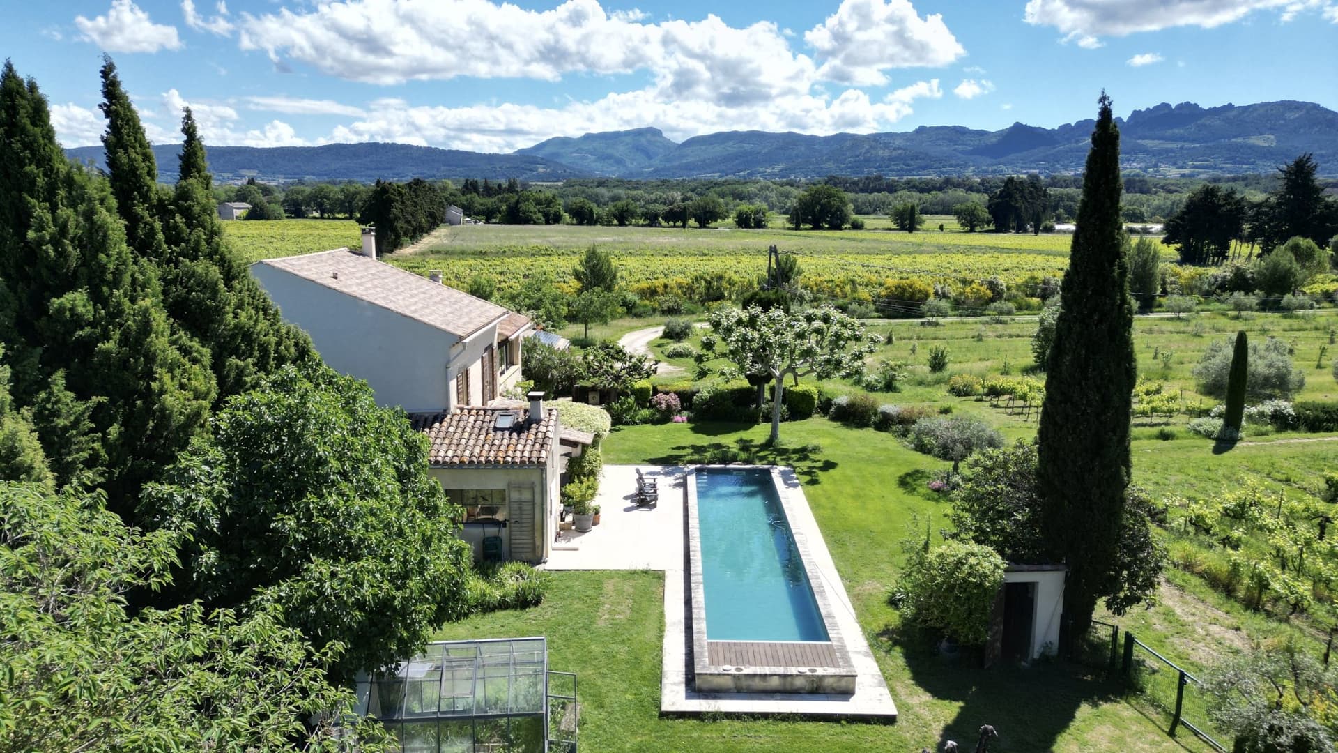 Charming Farmhouse With Vineyards And Olive Trees 4