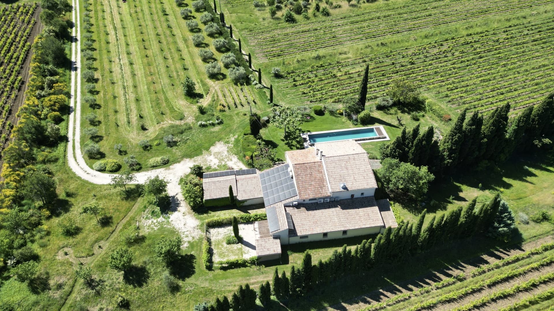 Charming Farmhouse With Vineyards And Olive Trees 5