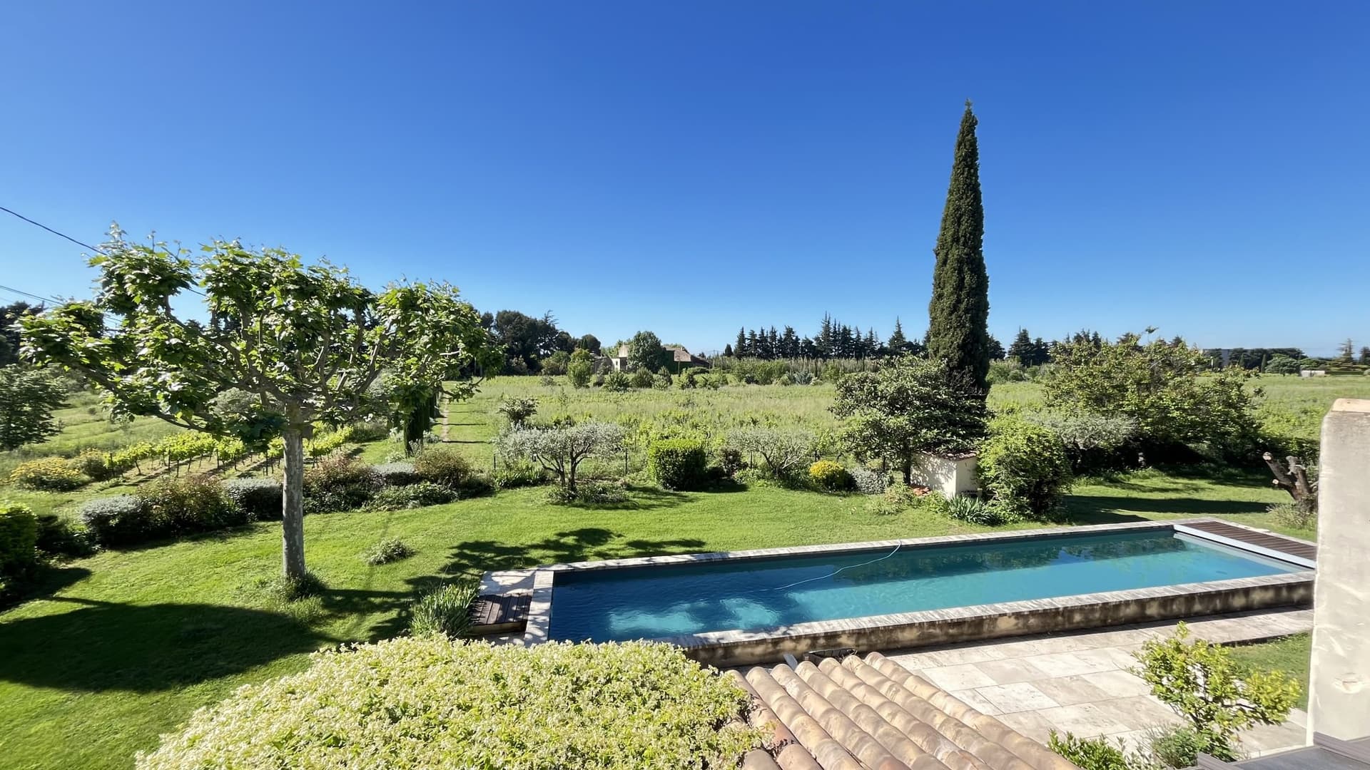 Charming Farmhouse With Vineyards And Olive Trees 2