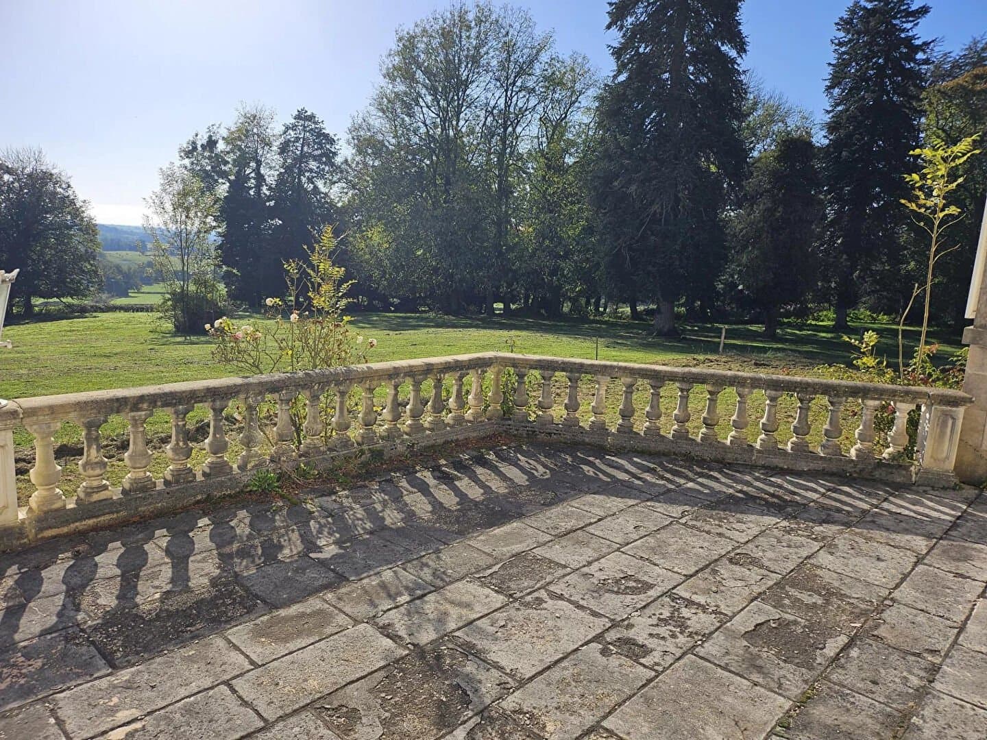 Historic Castle With 7 Bedrooms And Elegant Fireplaces — in France