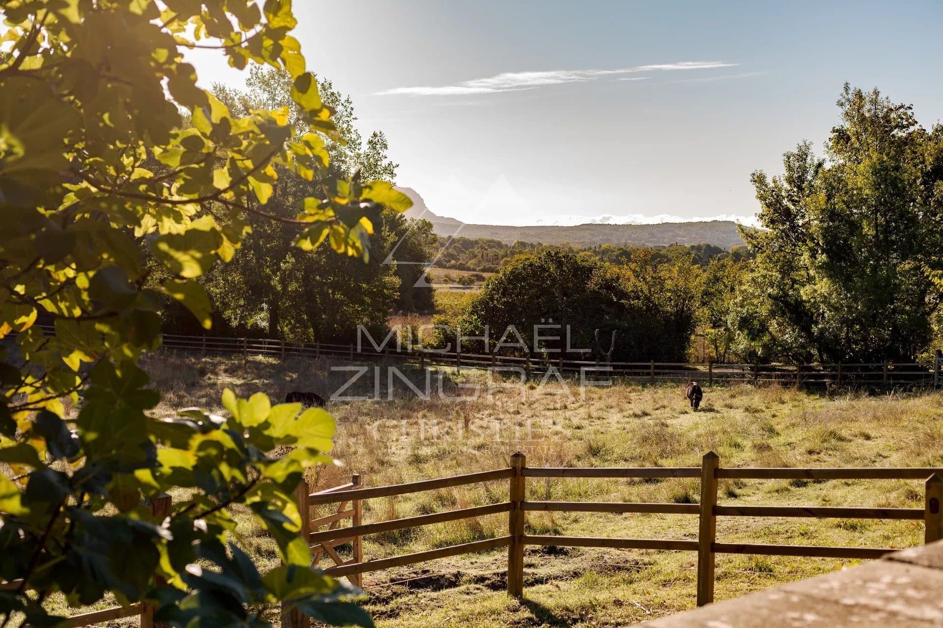 Charming Family Property With Landscaped Park And Majestic Views 4