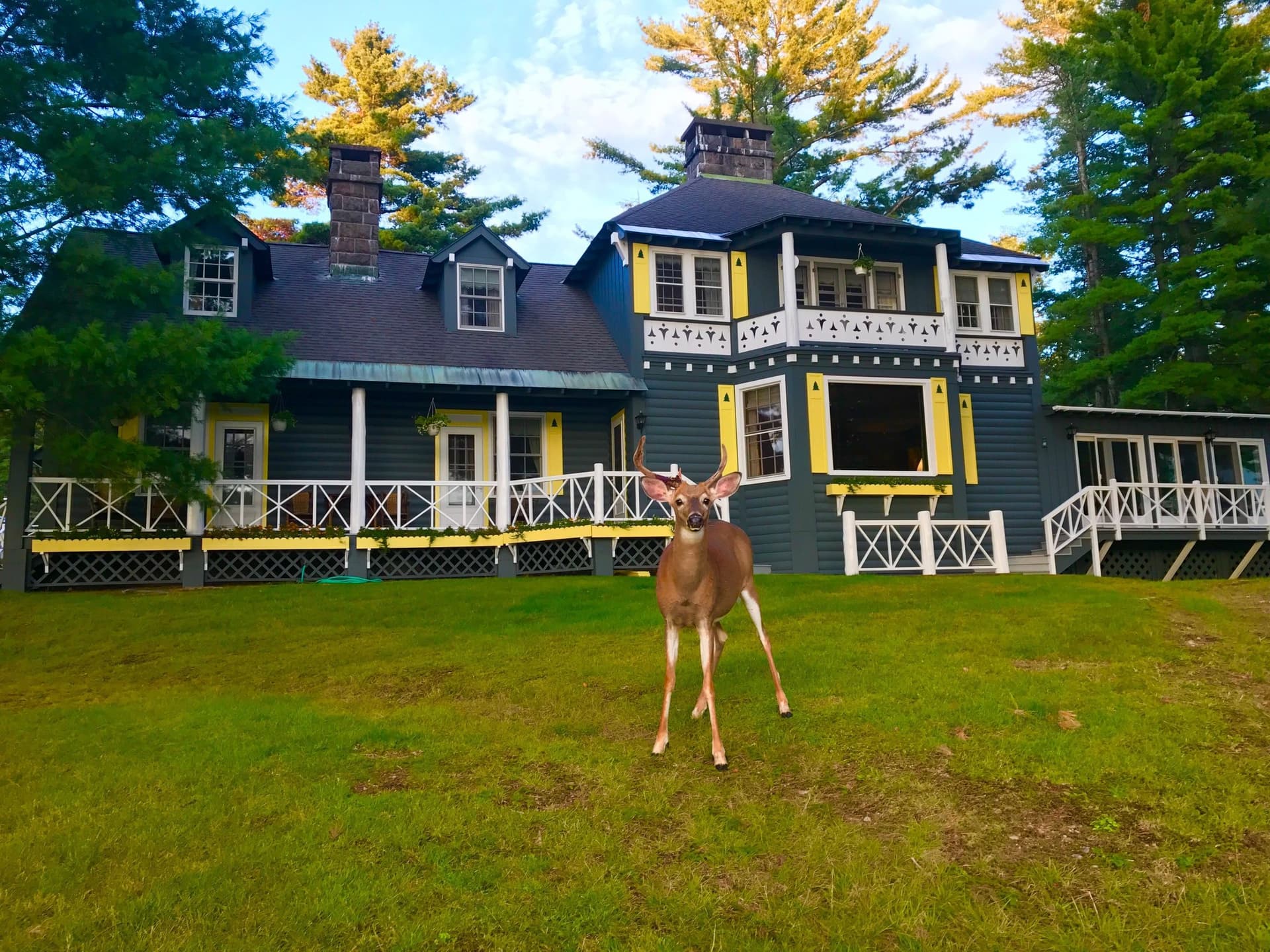 Whitney Park: A Historic Estate in the Heart of the Adirondacks