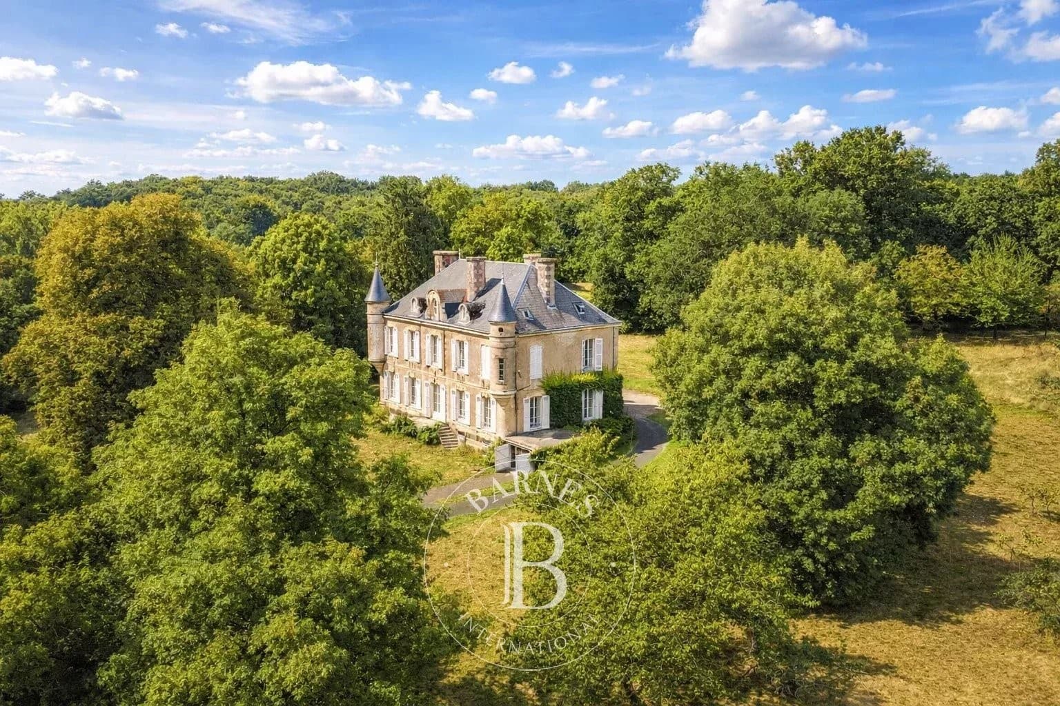 Château with 311.0 Sqm 5 Bedrooms in a Rural Setting 2