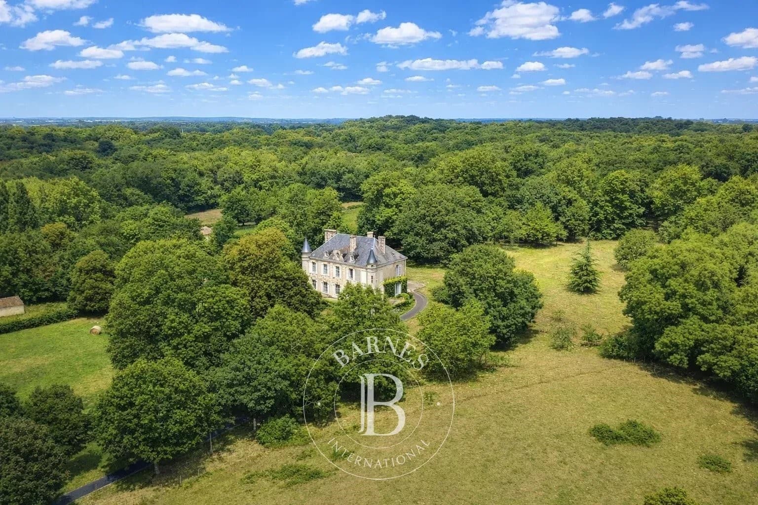 Château with 311.0 Sqm 5 Bedrooms in a Rural Setting 3