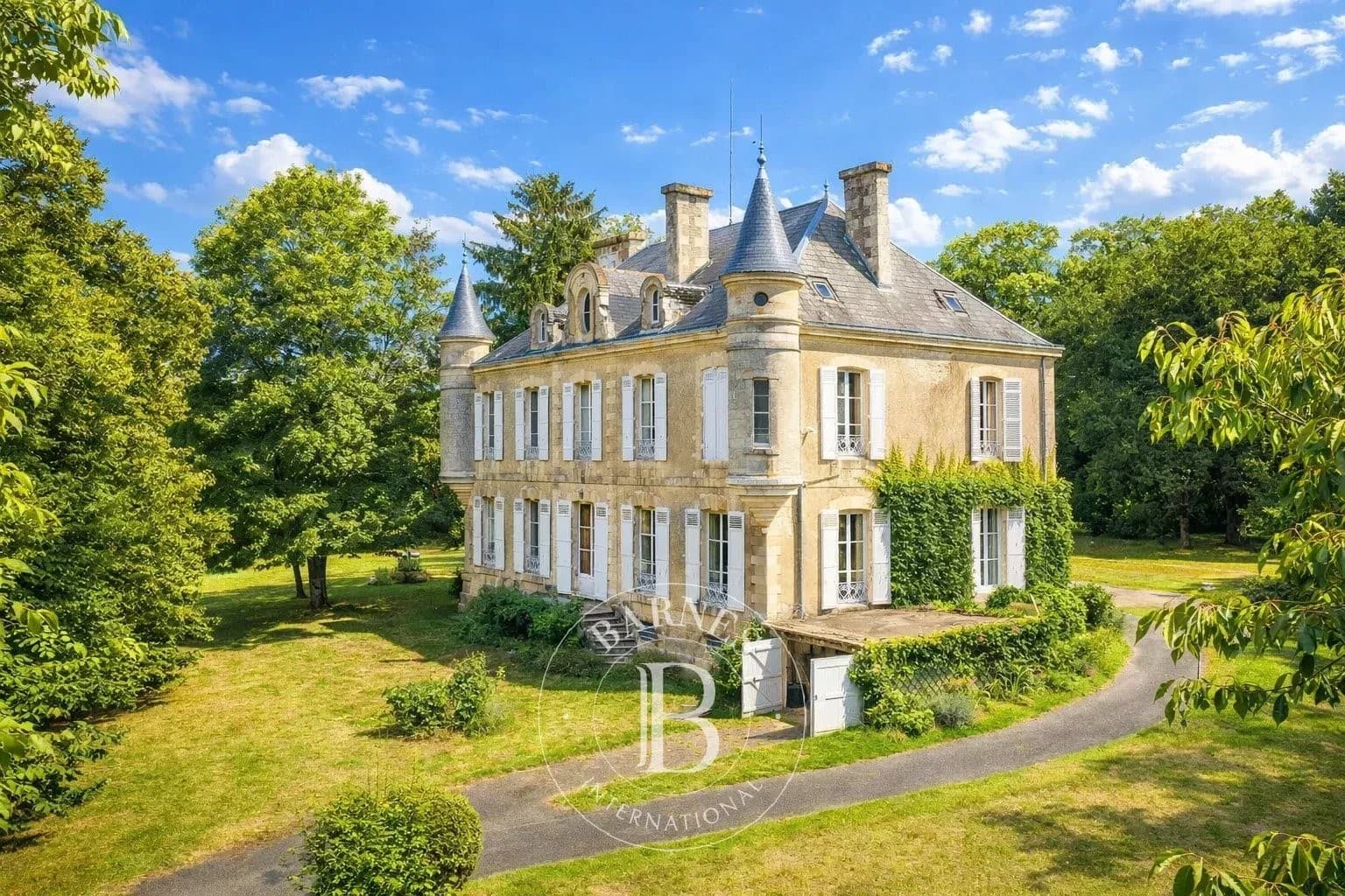 Château with 311.0 Sqm 5 Bedrooms in a Rural Setting 4