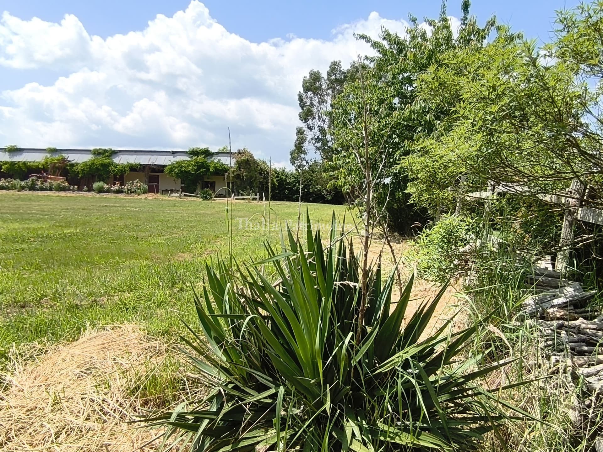 Charming Stone House With Cottage And Stables On 3 Hectares 3
