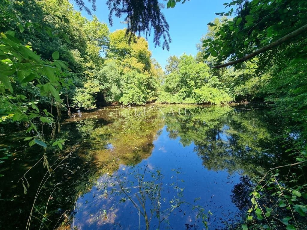 Remarkable 19th Century Château With Expansive Park and Modern Amenities 5