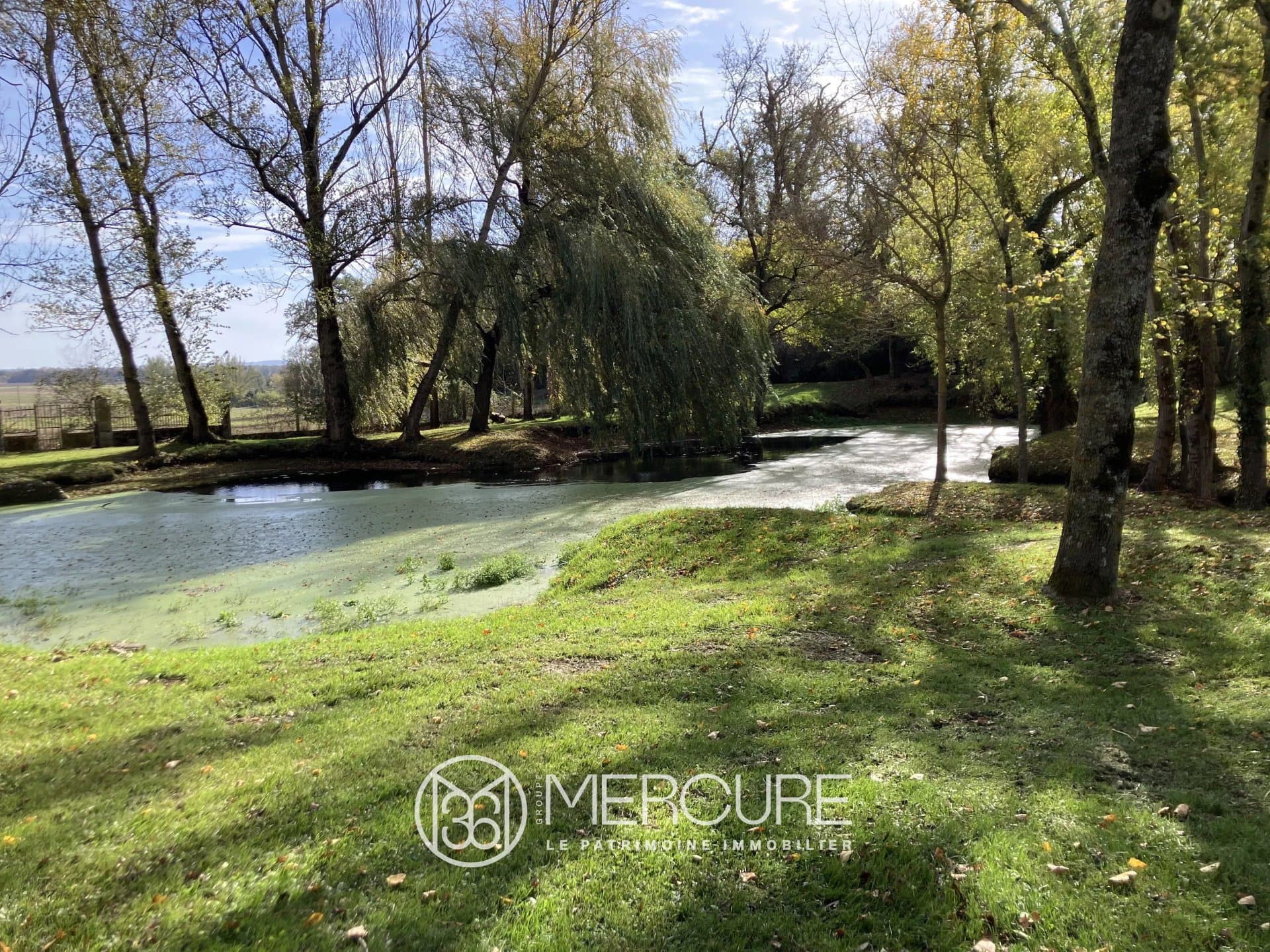 Château with Heated Swimming Pool and Elegant Park 4