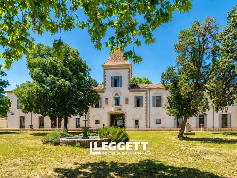 Historic Château Estate with Independent Guest Accommodation and Stunning Views — Château for sale in Occitanie, France