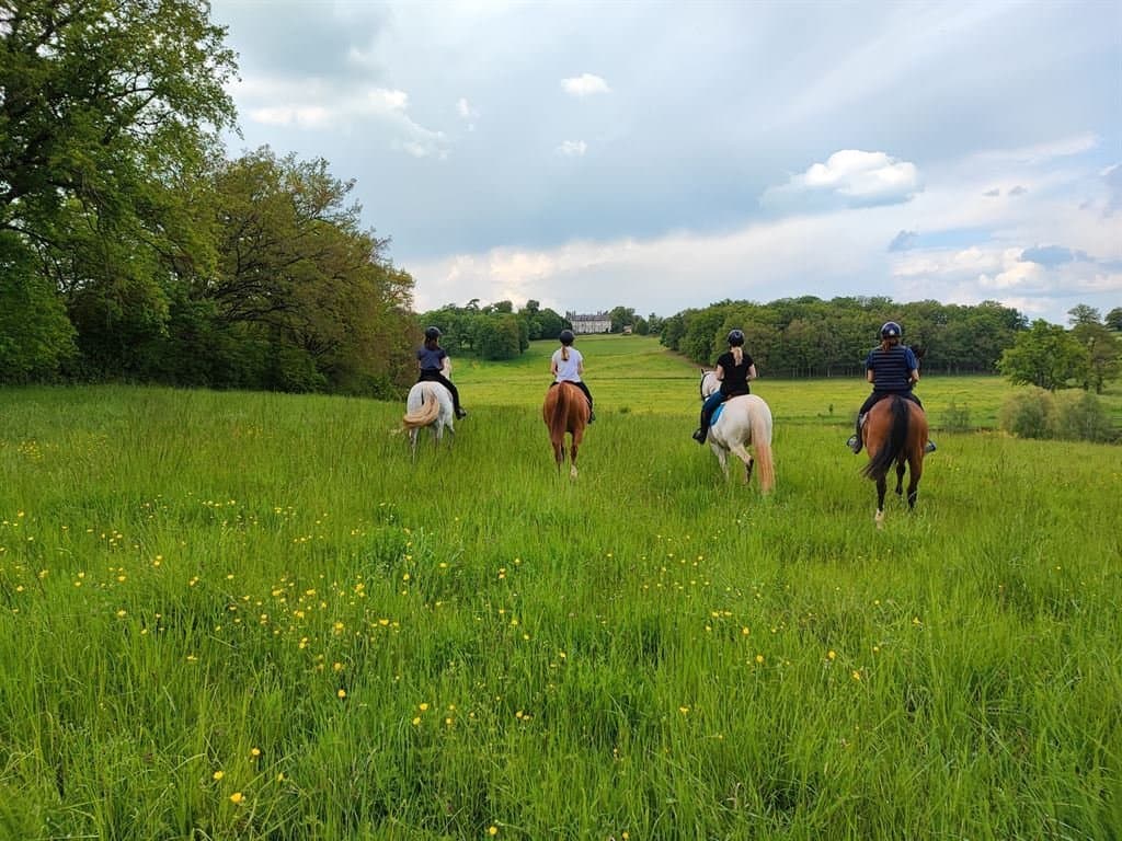 19th Century Château With Equestrian Facilities And 16 Bedrooms 5