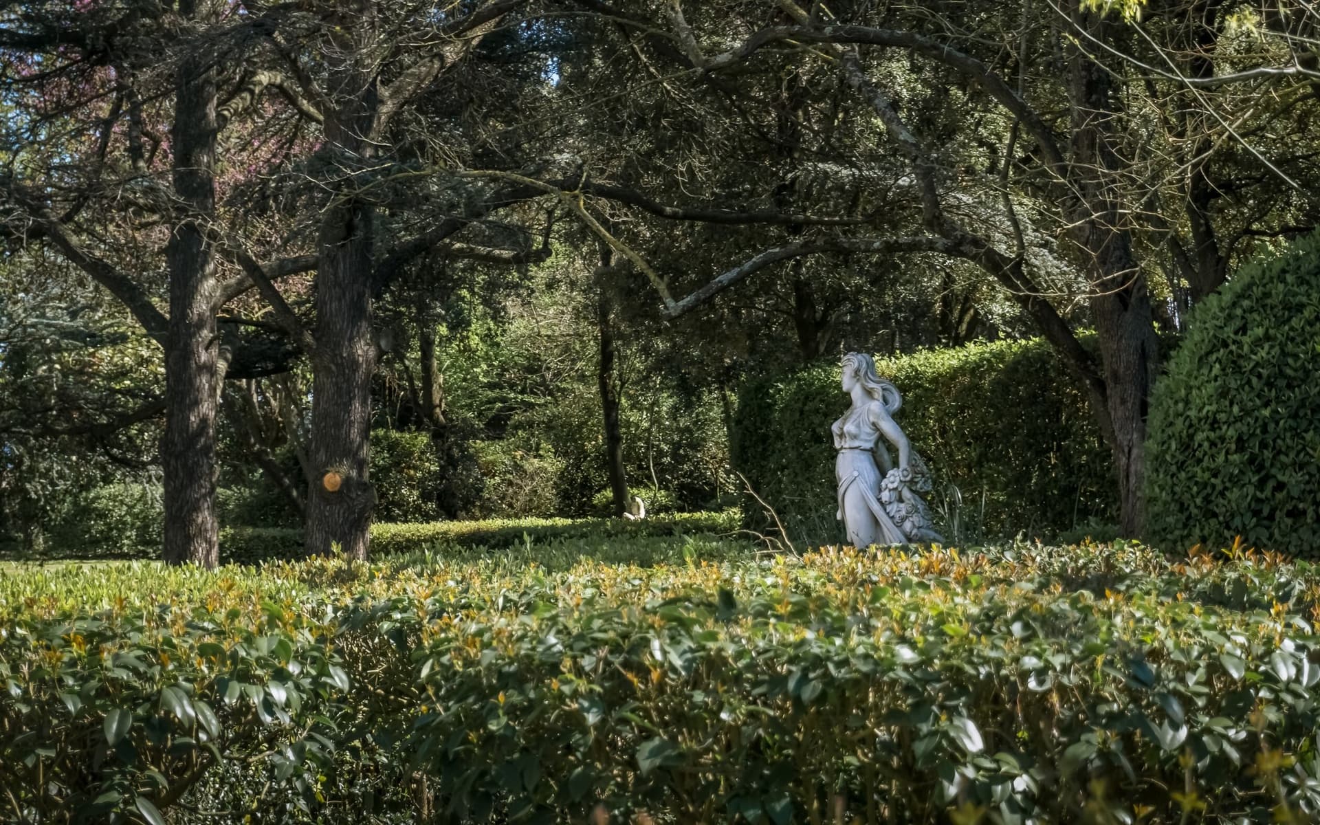 Château With 455 Sqm, 11 Bedrooms, Large Swimming Pool And Beautiful Park 4