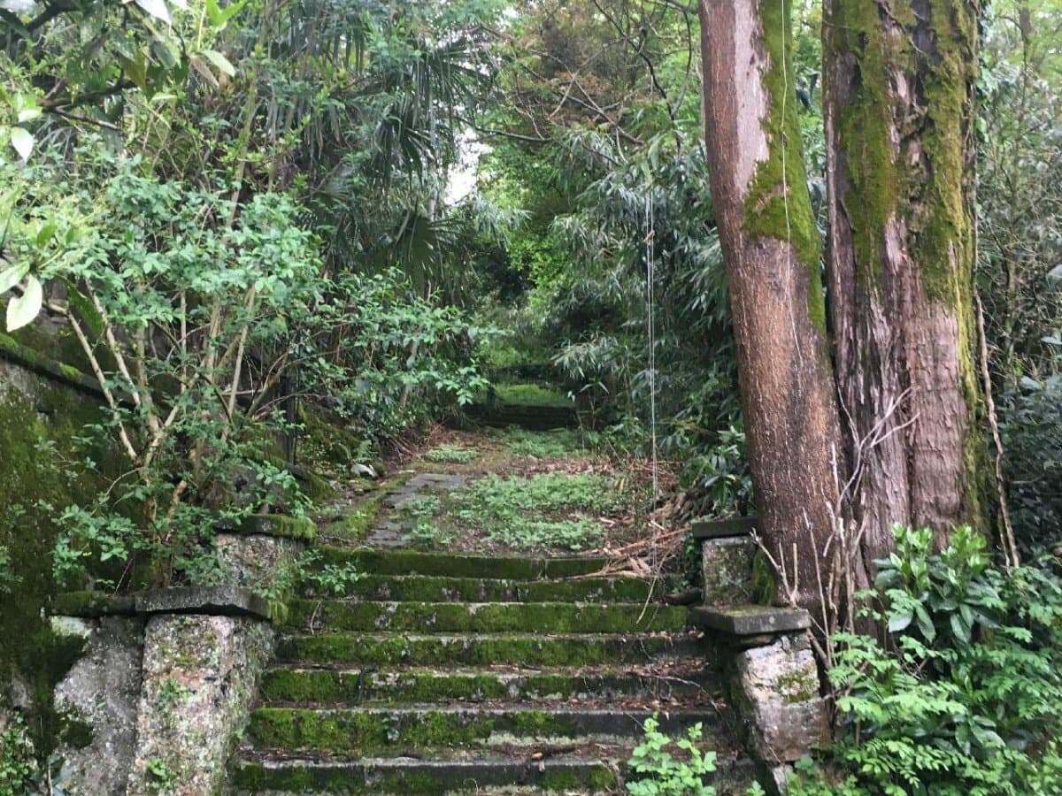 Historic Castle in Stabio with Renovation Potential 3