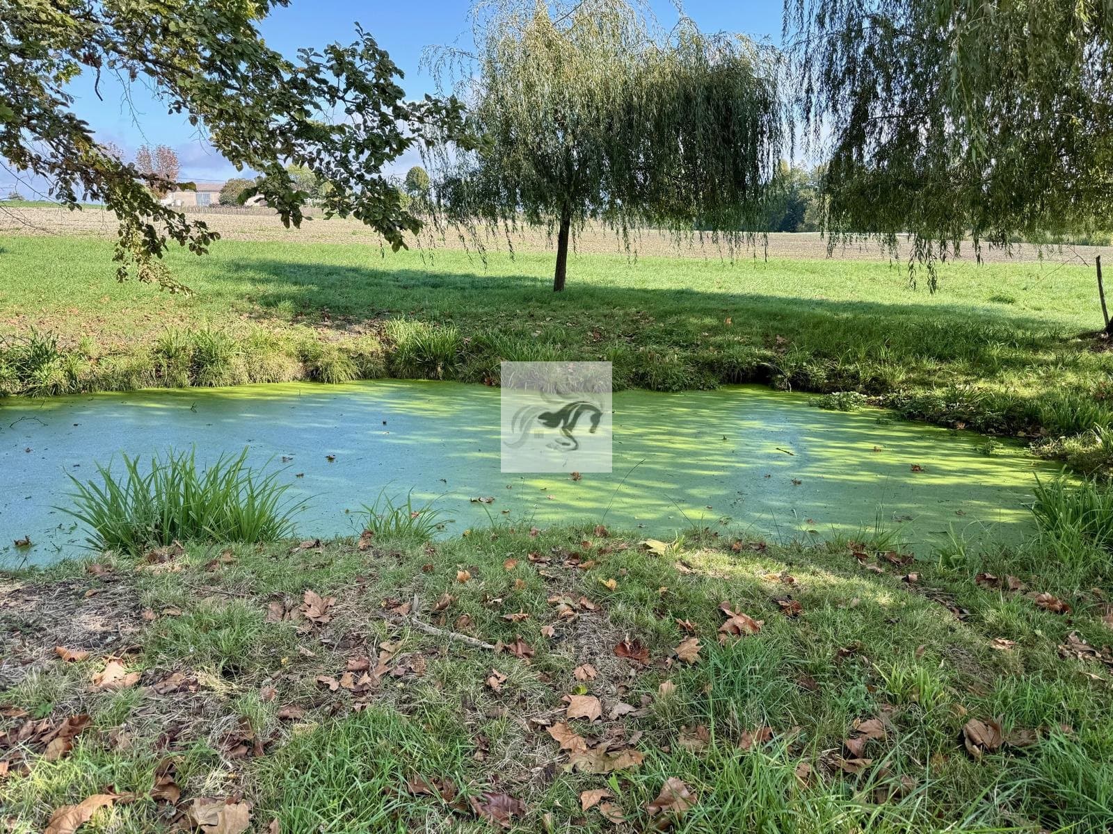 Charming 17th Century Chartreuse With Pool And Annex House 5