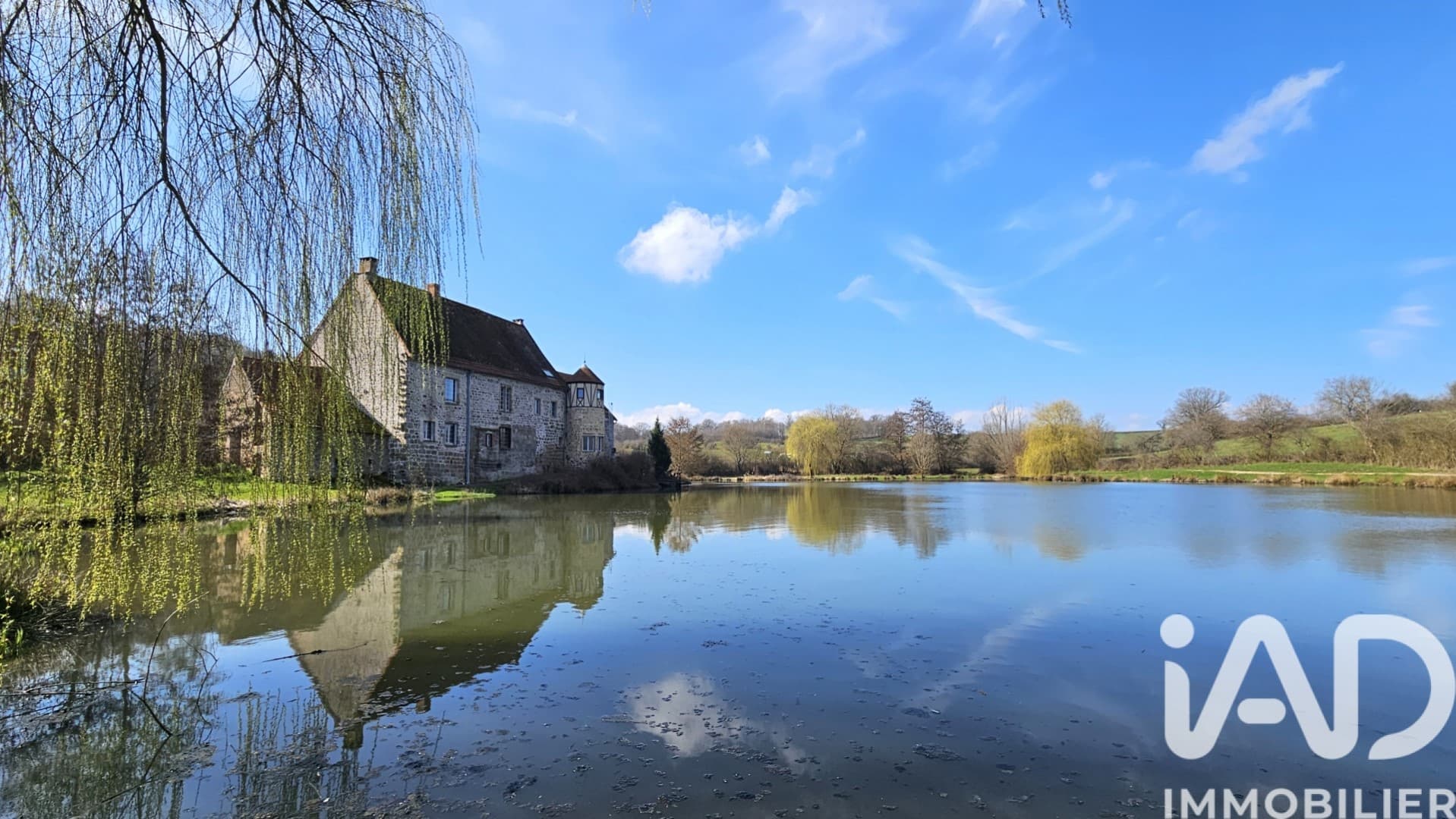 Elegant 19th Century Castle with 20 Bedrooms and Terrace — in Burgundy, France