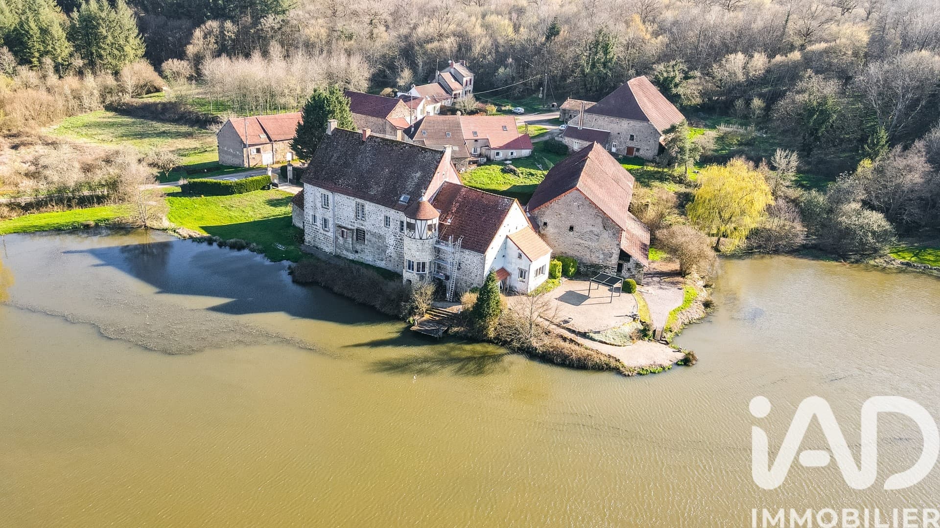 Elegant 19th Century Castle with 20 Bedrooms and Terrace 3