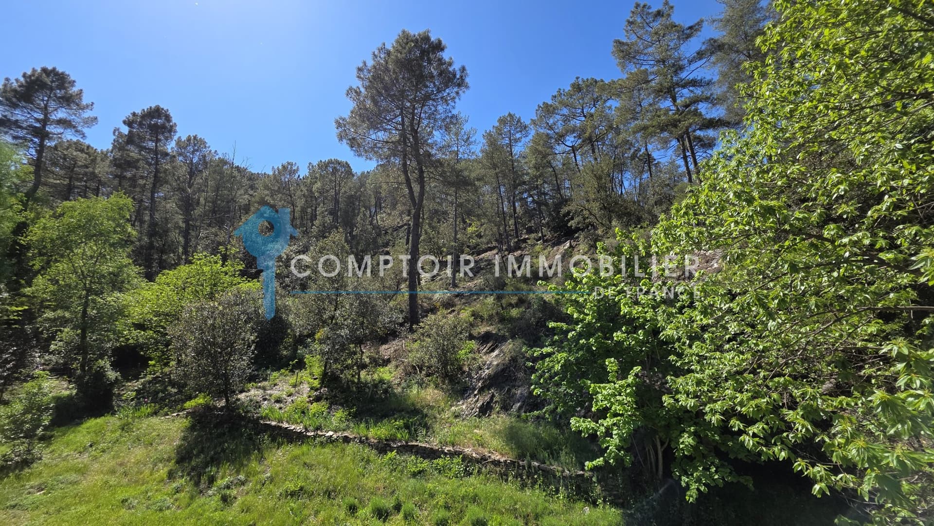 Charming Cévenol Mas with 4 Bedrooms and 1.1 Hectare of Land 3
