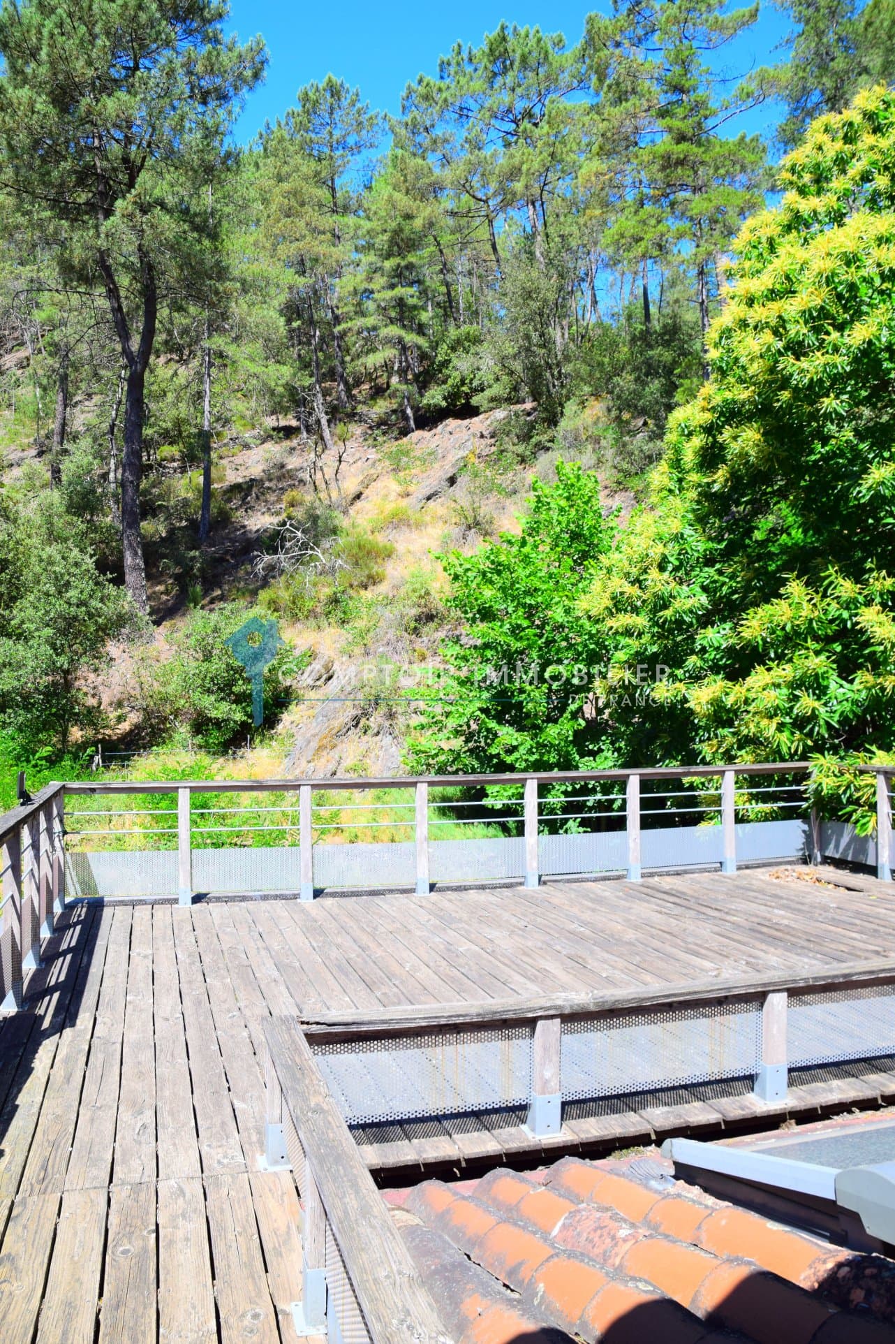 Charming Cévenol Mas with 4 Bedrooms and 1.1 Hectare of Land 5