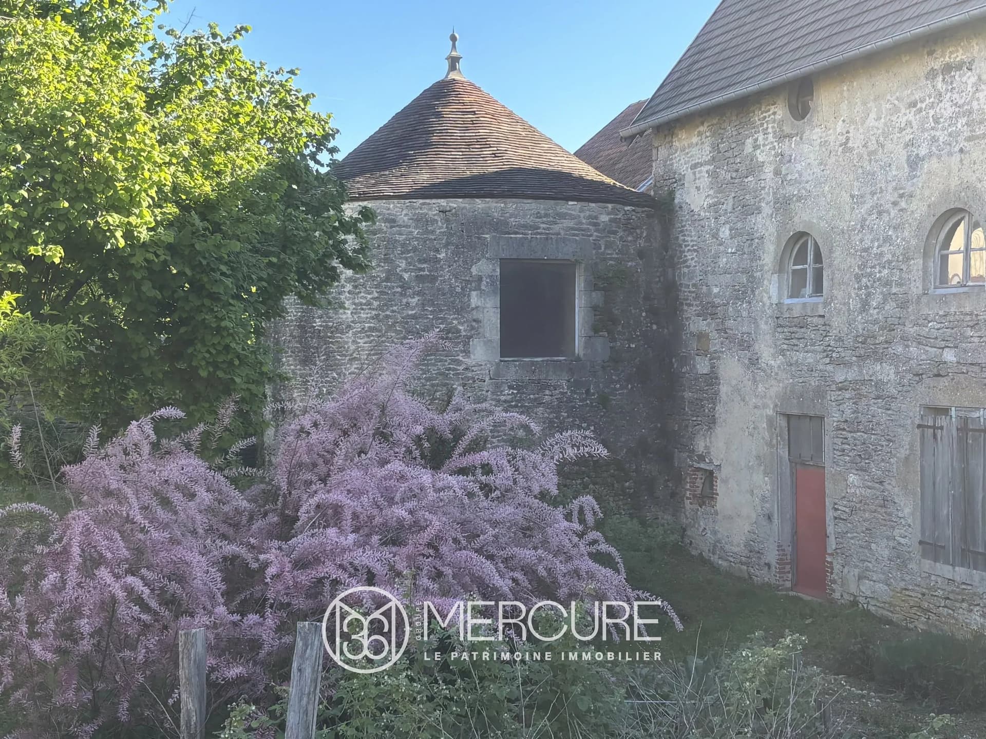 Château With Period Features And 22 Hectares In Chalancey 4