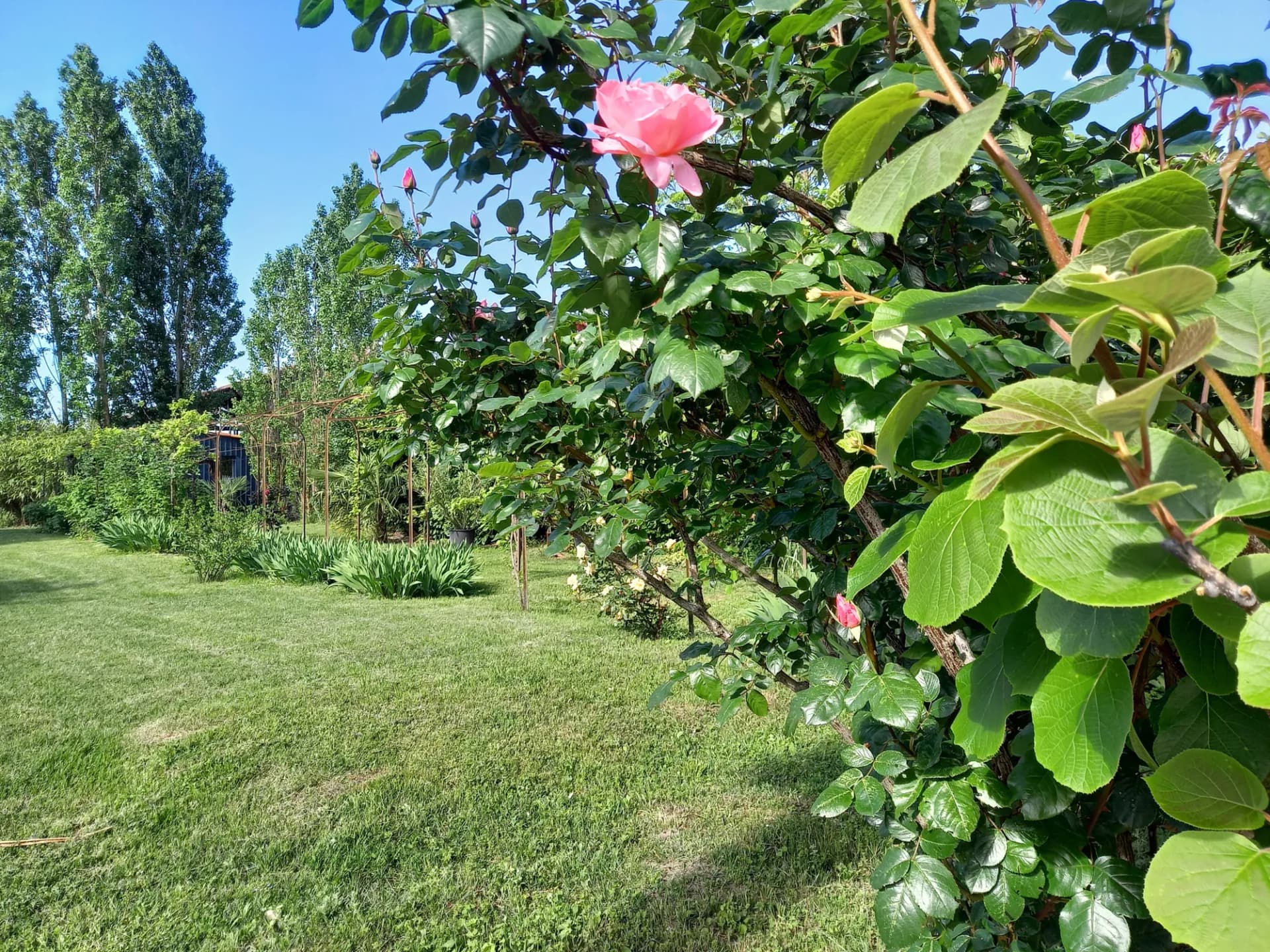 Charming Renovated House With Annex And Spacious Living Areas 2