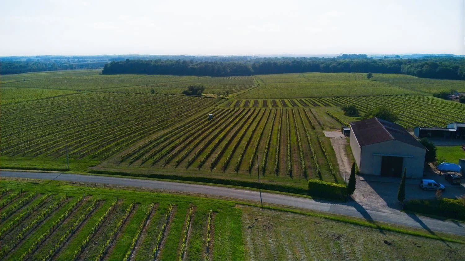 Organic Wine Estate With 22 Hectares Of Vines And Modern Winery — in Sauveterre-de-Guyenne, France