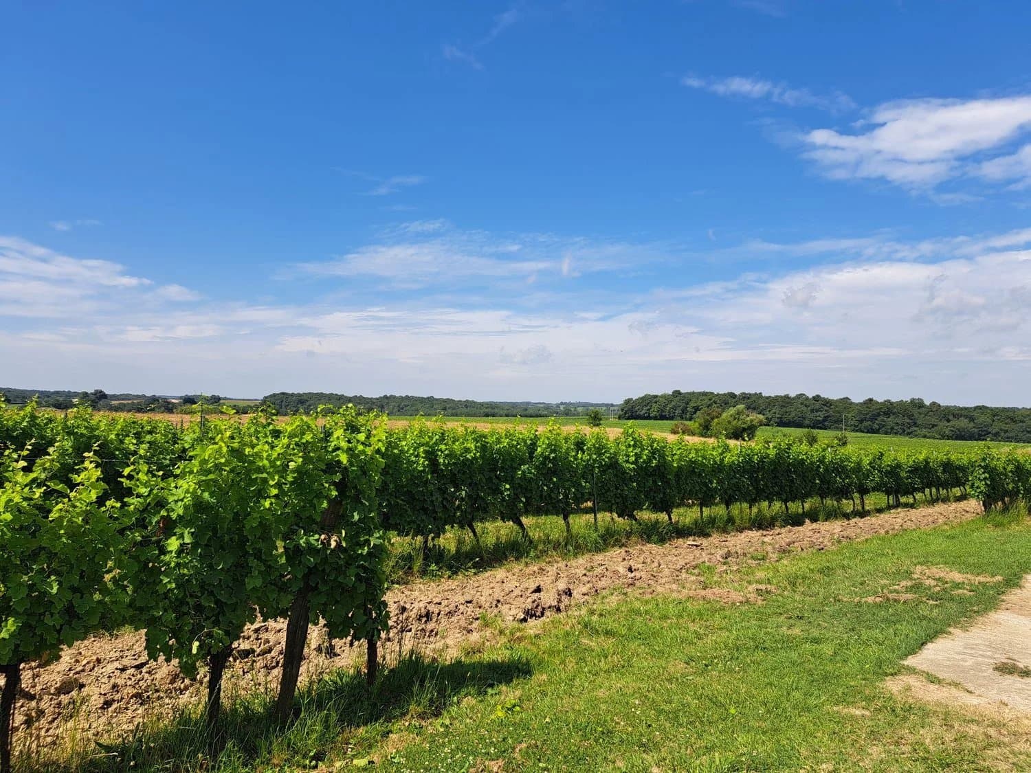 Castles for sale in Sauveterre-de-Guyenne