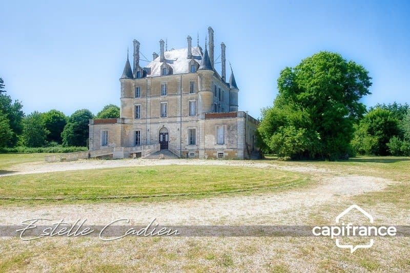 19th Century Château With Guest Rooms And Gîtes In A 2.5 Hectare Park — Château for sale