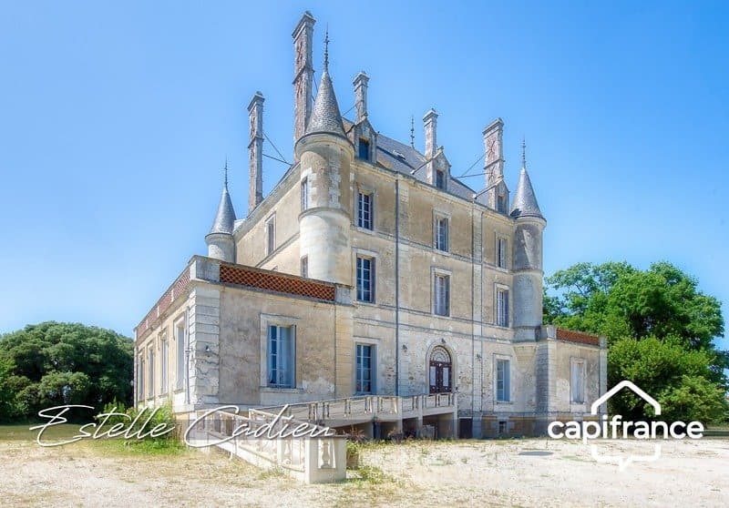19th Century Château With Guest Rooms And Gîtes In A 2.5 Hectare Park 3