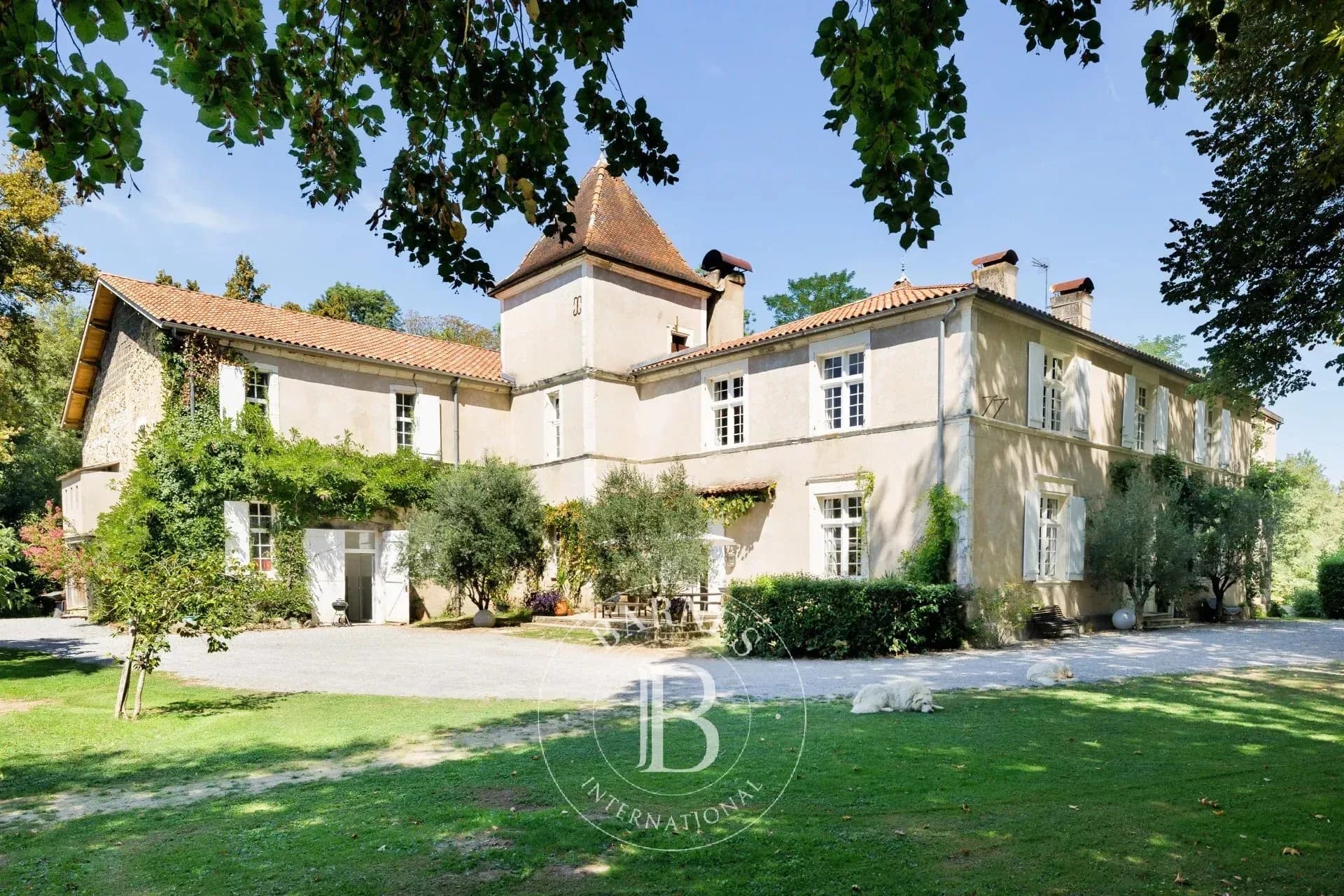 Exceptional 19th Century Château With Guest House And Swimming Pool 3