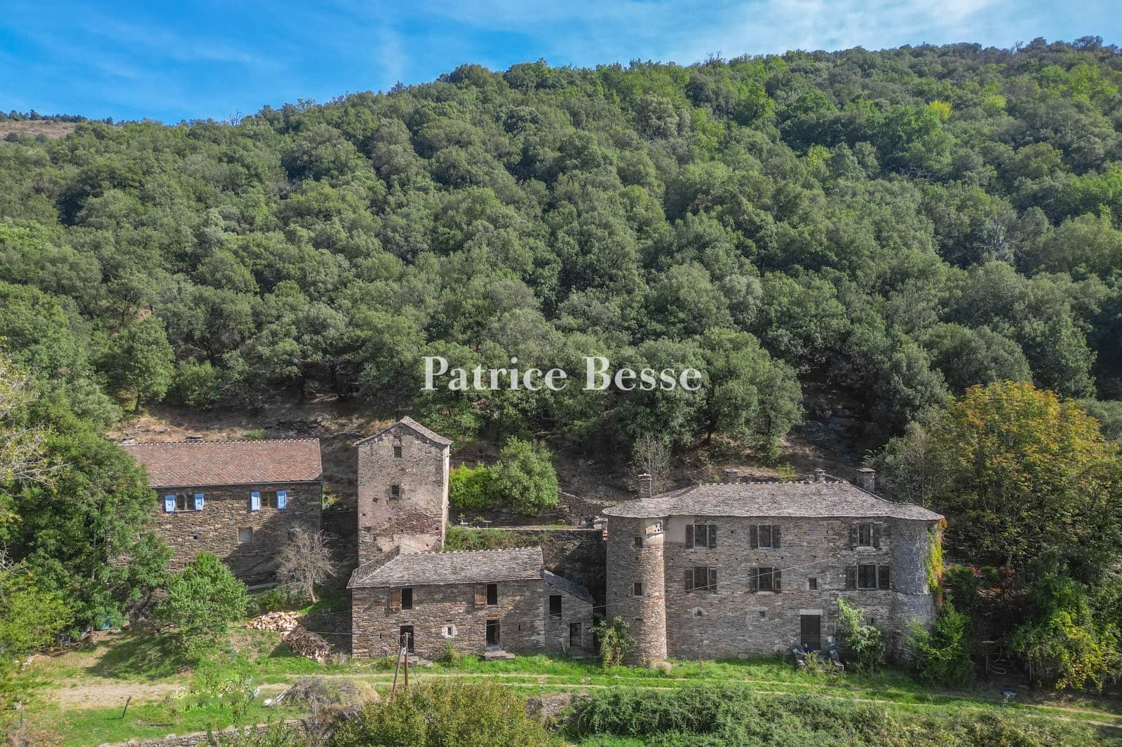 Historic Castle with Feudal Keep and 30 Hectare Estate in Cévennes — in Lozère, France