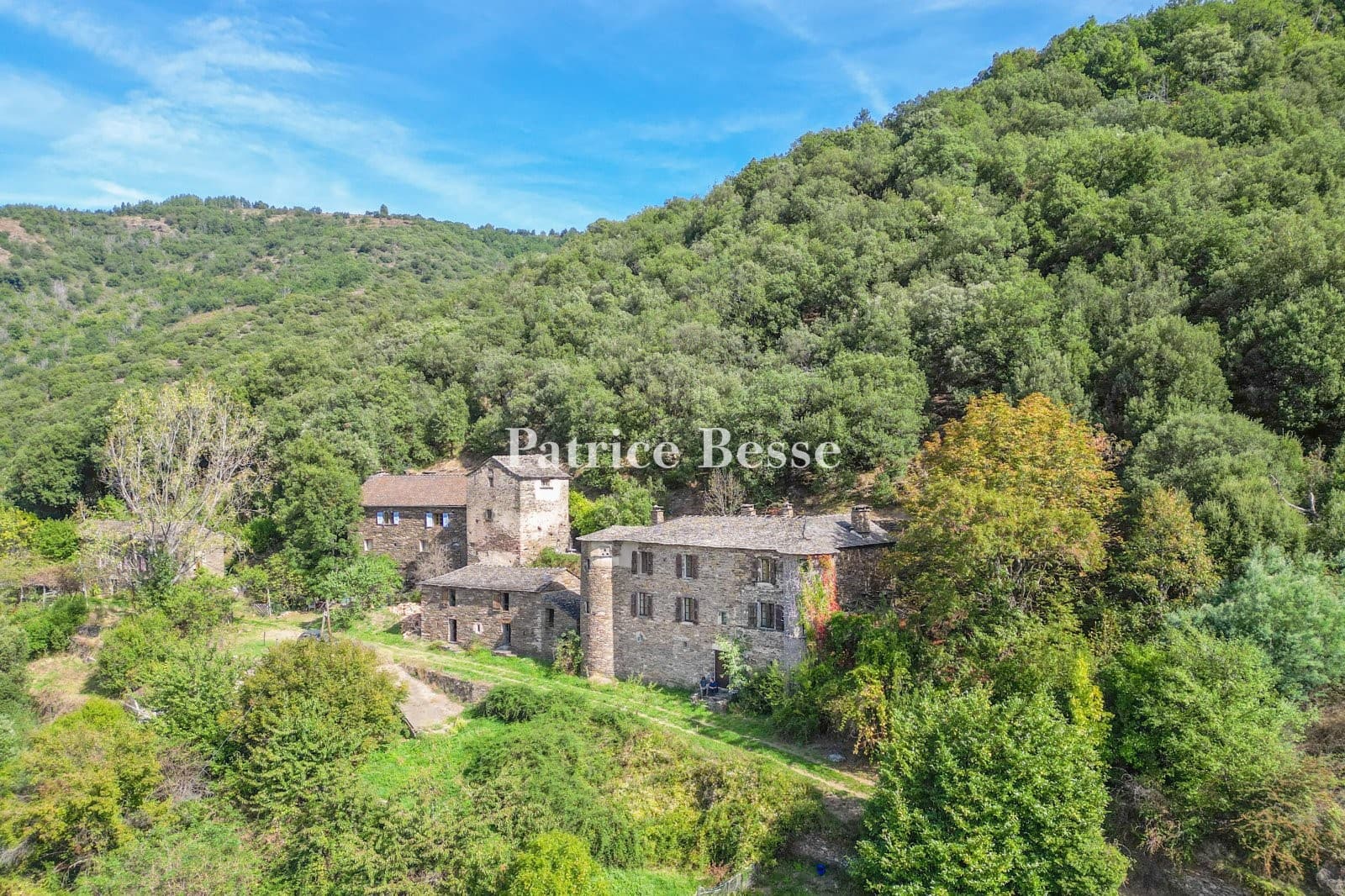 Historic Castle with Feudal Keep and 30 Hectare Estate in Cévennes 2