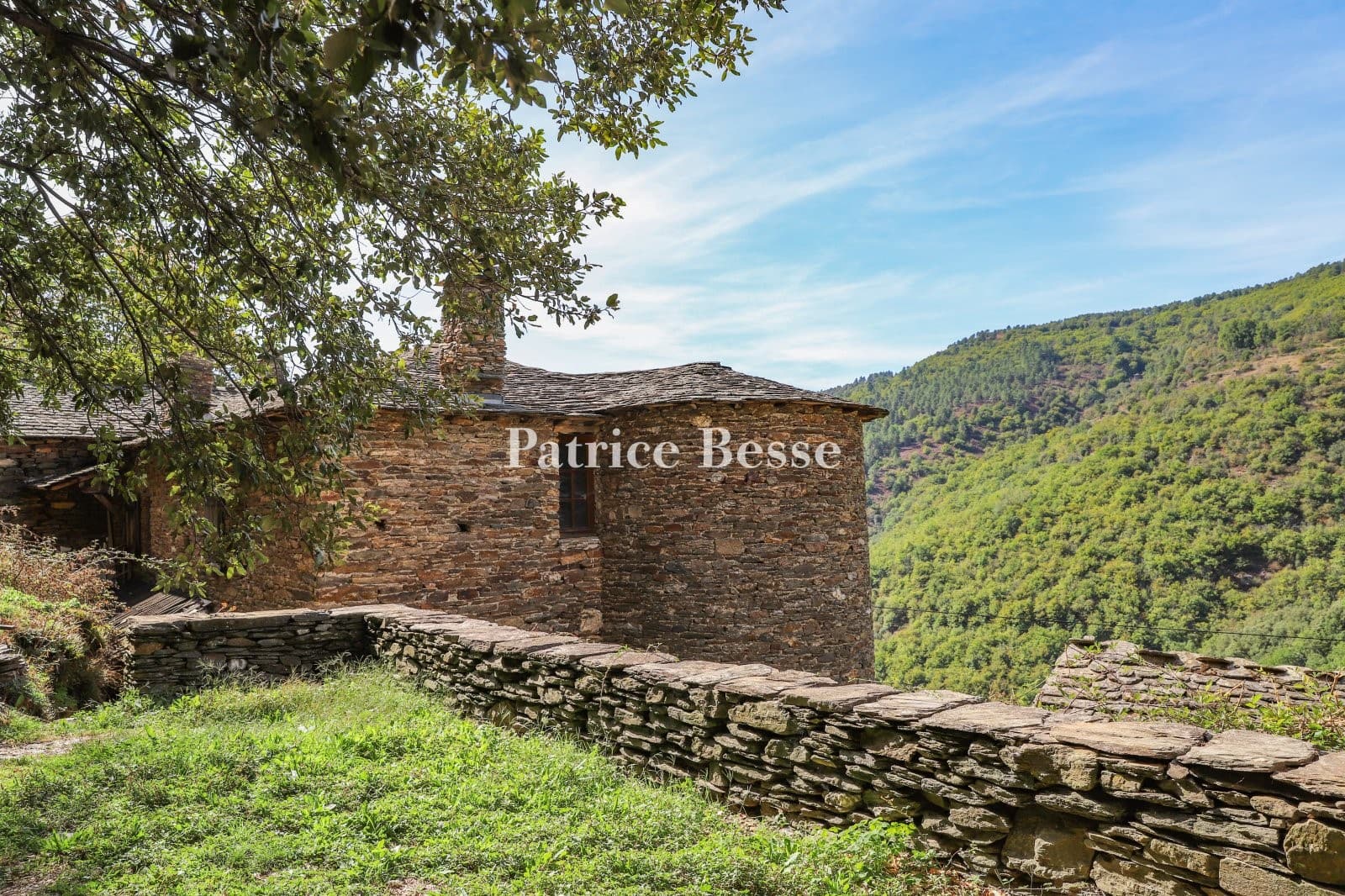 Historic Castle with Feudal Keep and 30 Hectare Estate in Cévennes 3