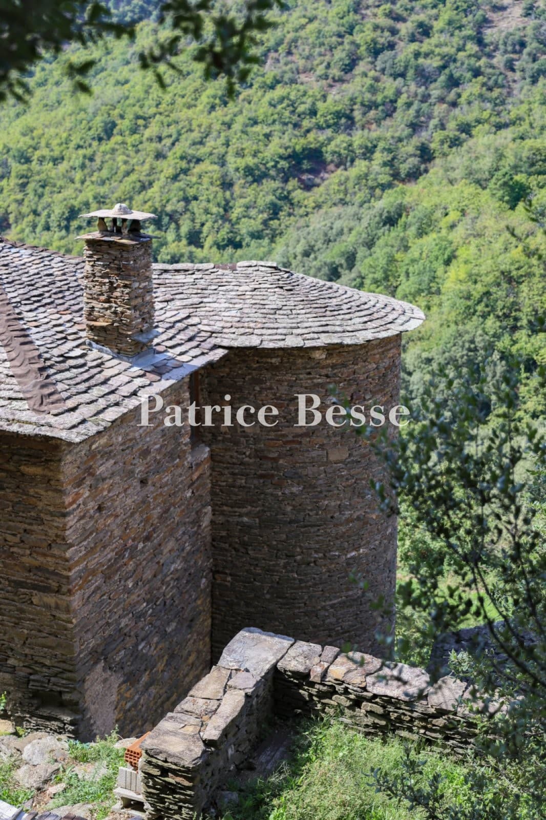 Historic Castle with Feudal Keep and 30 Hectare Estate in Cévennes 4